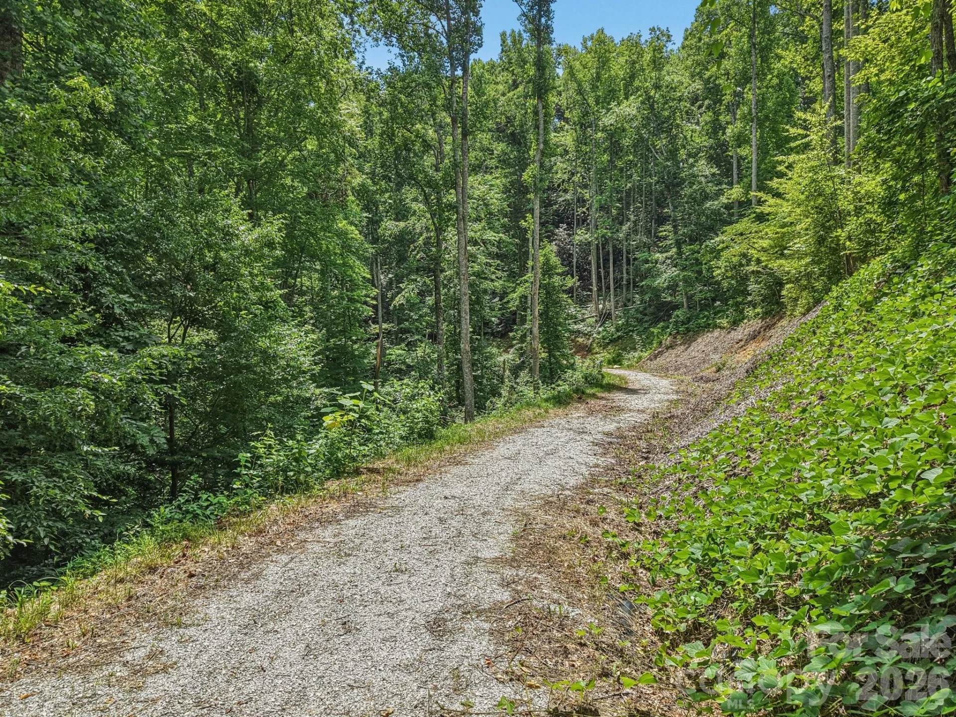 TBD Fiver Lane - Photo 10