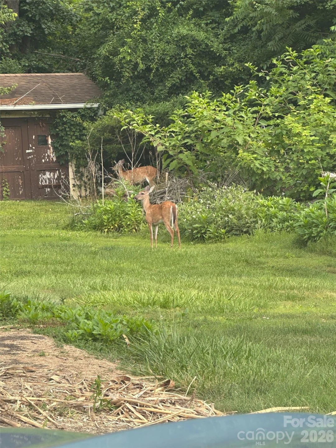 610 Enka Lake Road - Photo 6