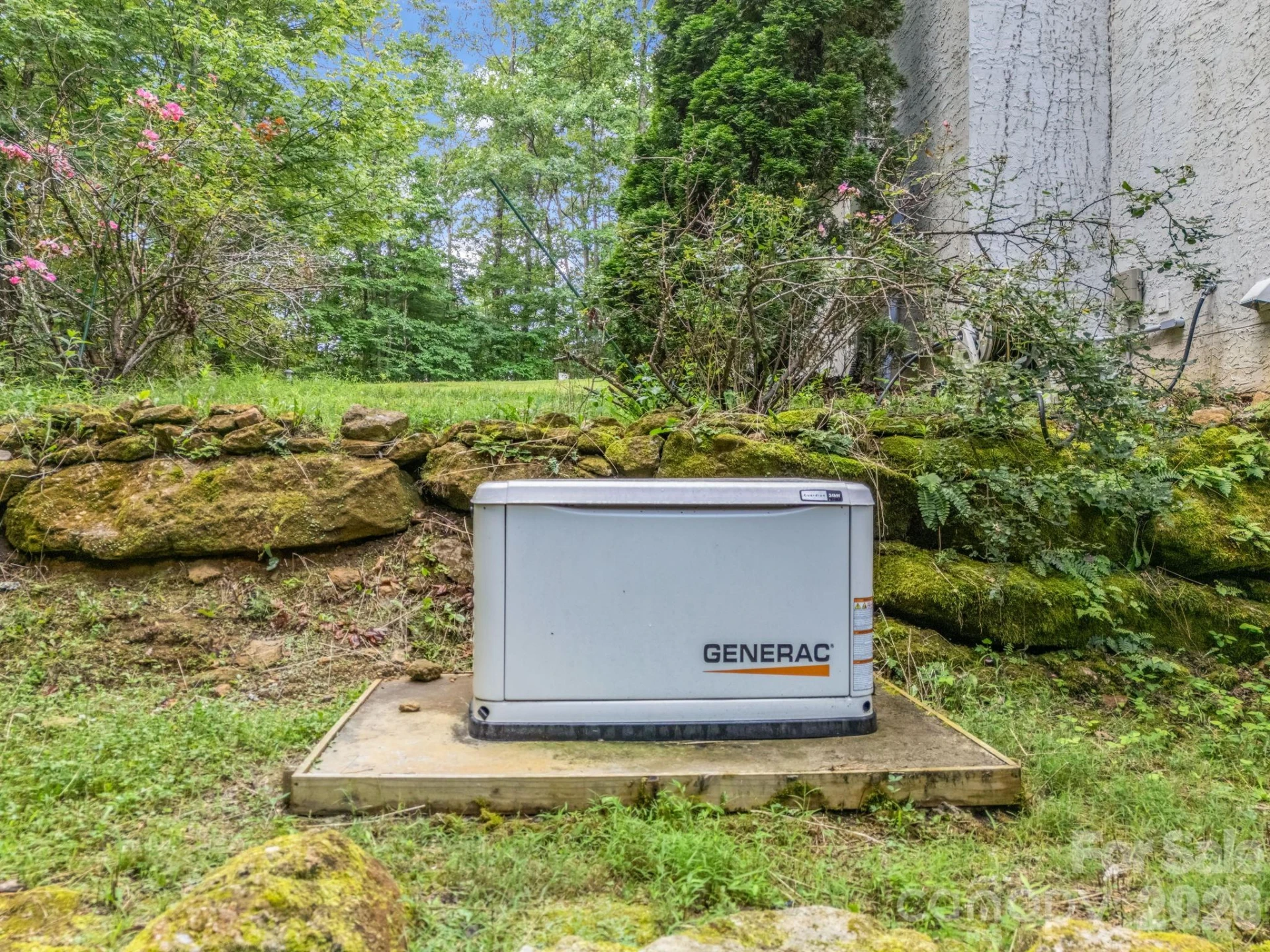 45 Brown Bear Ridge Trail - Photo 48