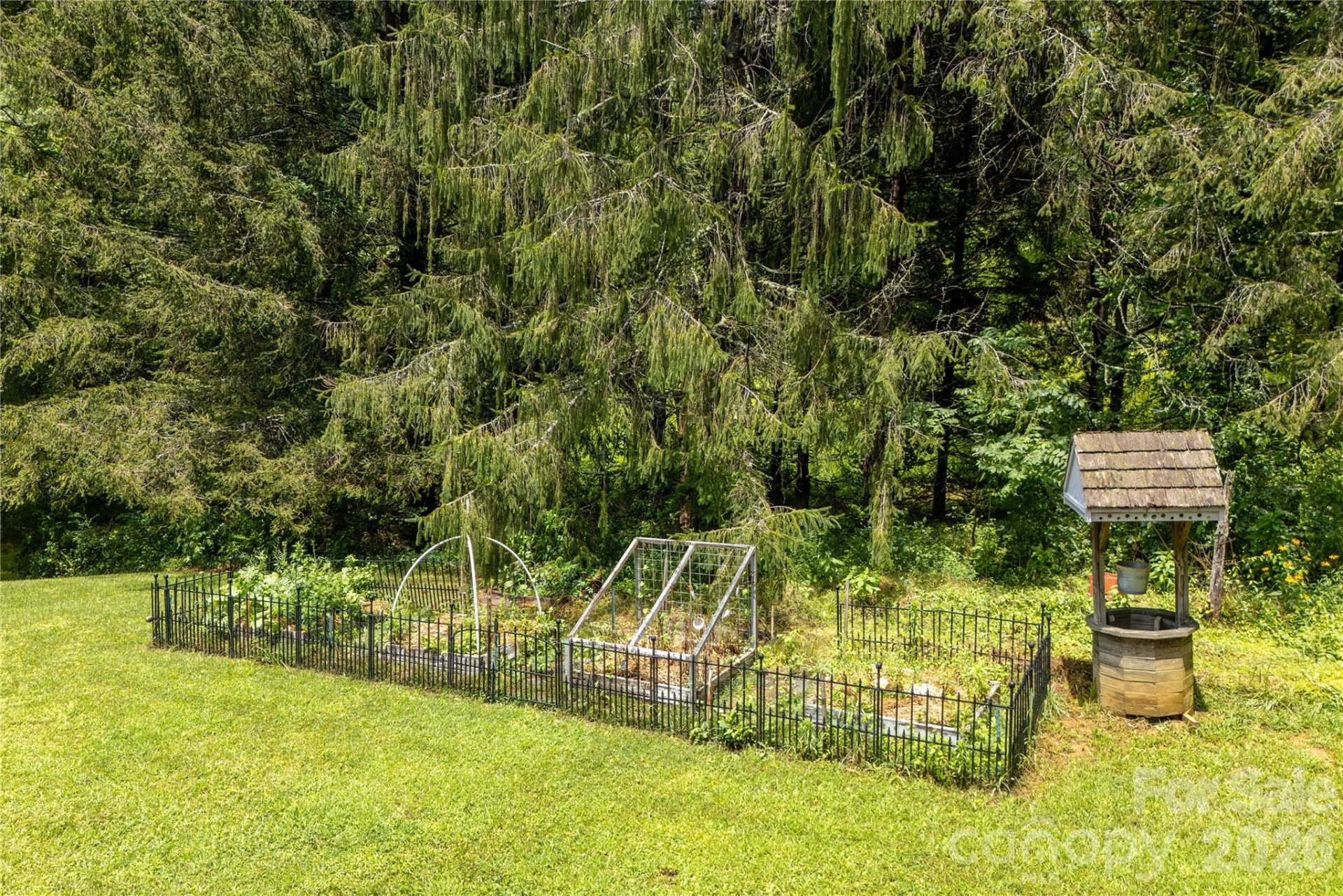 788 Old NC 280 Highway - Photo 36