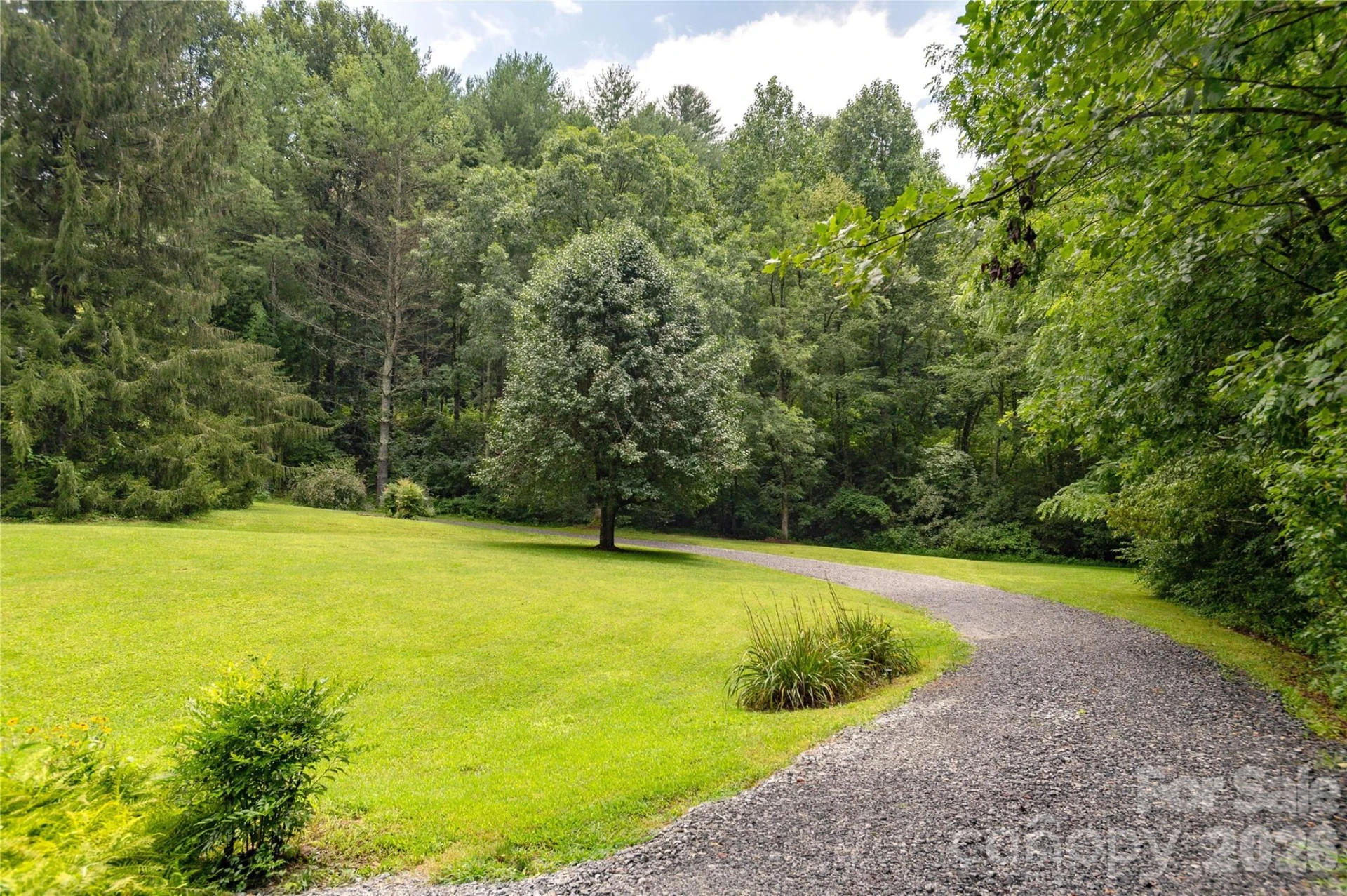788 Old NC 280 Highway - Photo 38