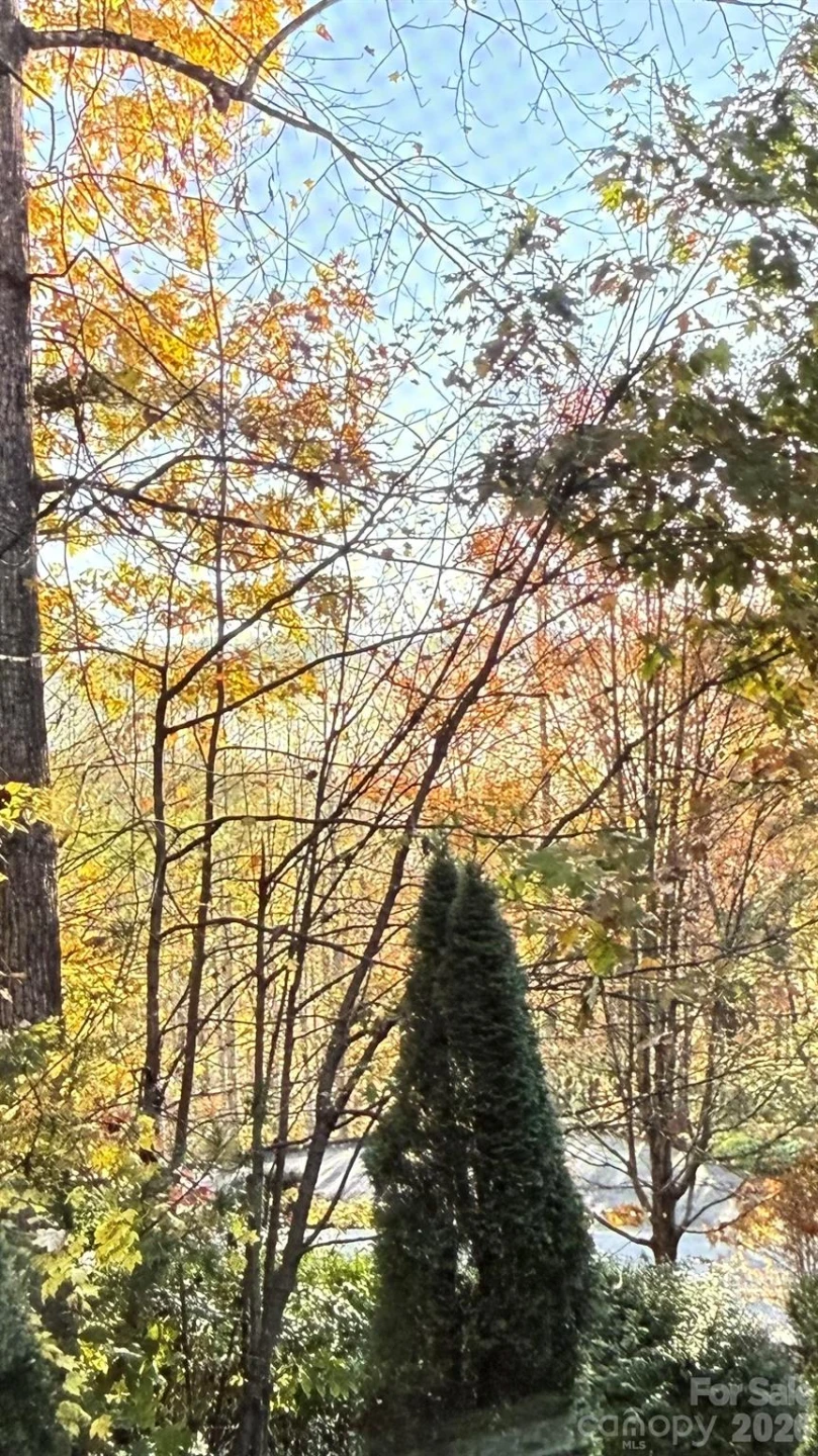 168 Chattooga Run - Photo 37