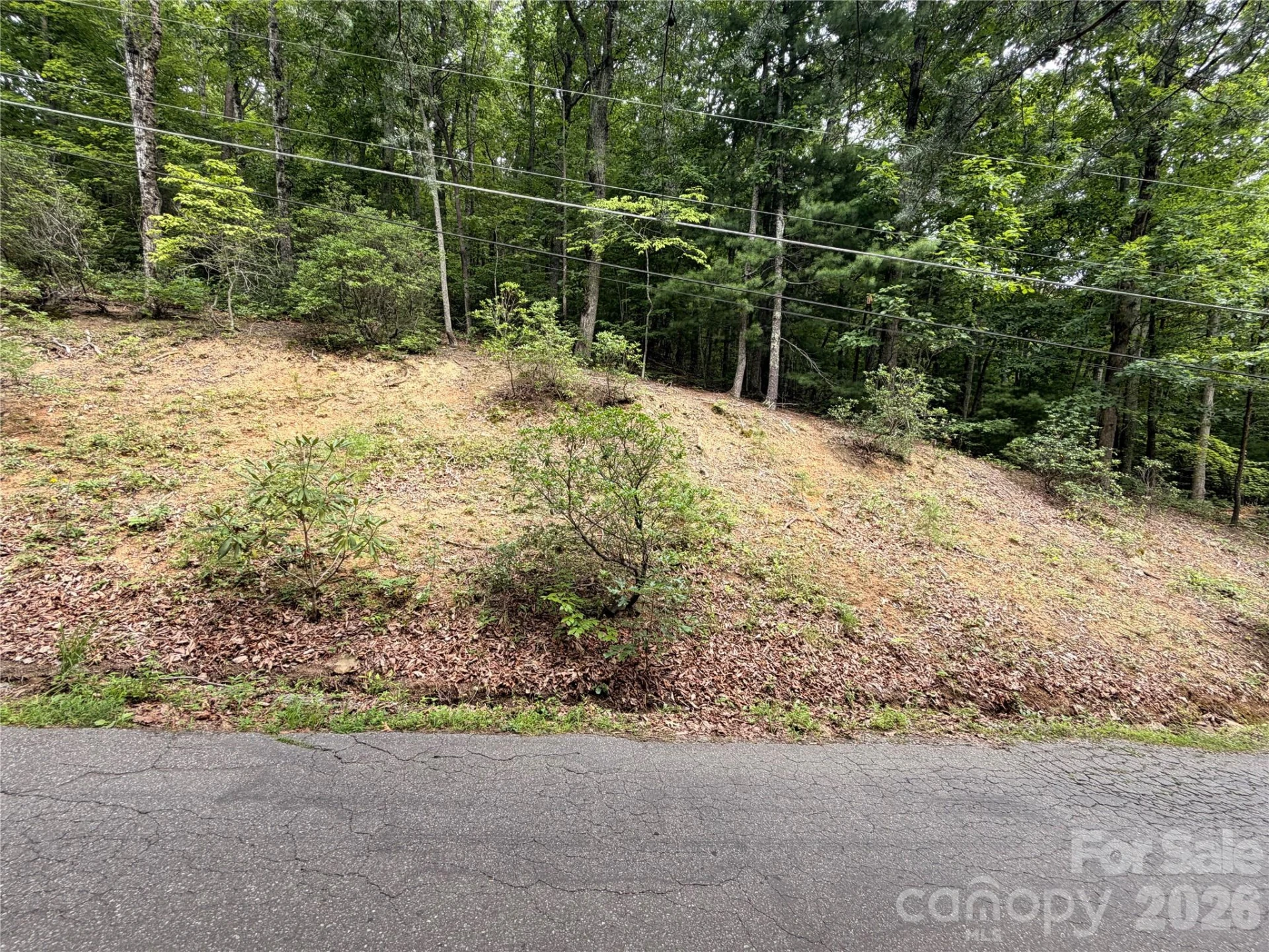 99999 Harrison Hill Road #15 - Photo 5