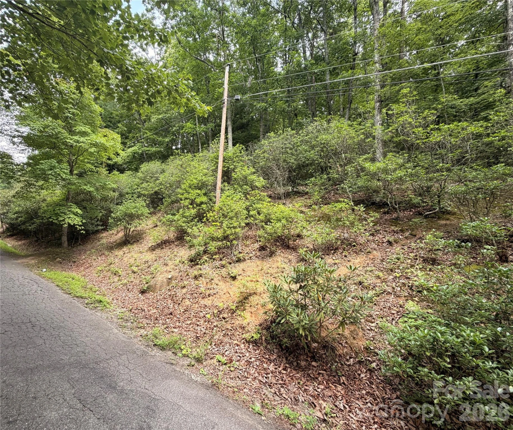99999 Harrison Hill Road #15 - Photo 6