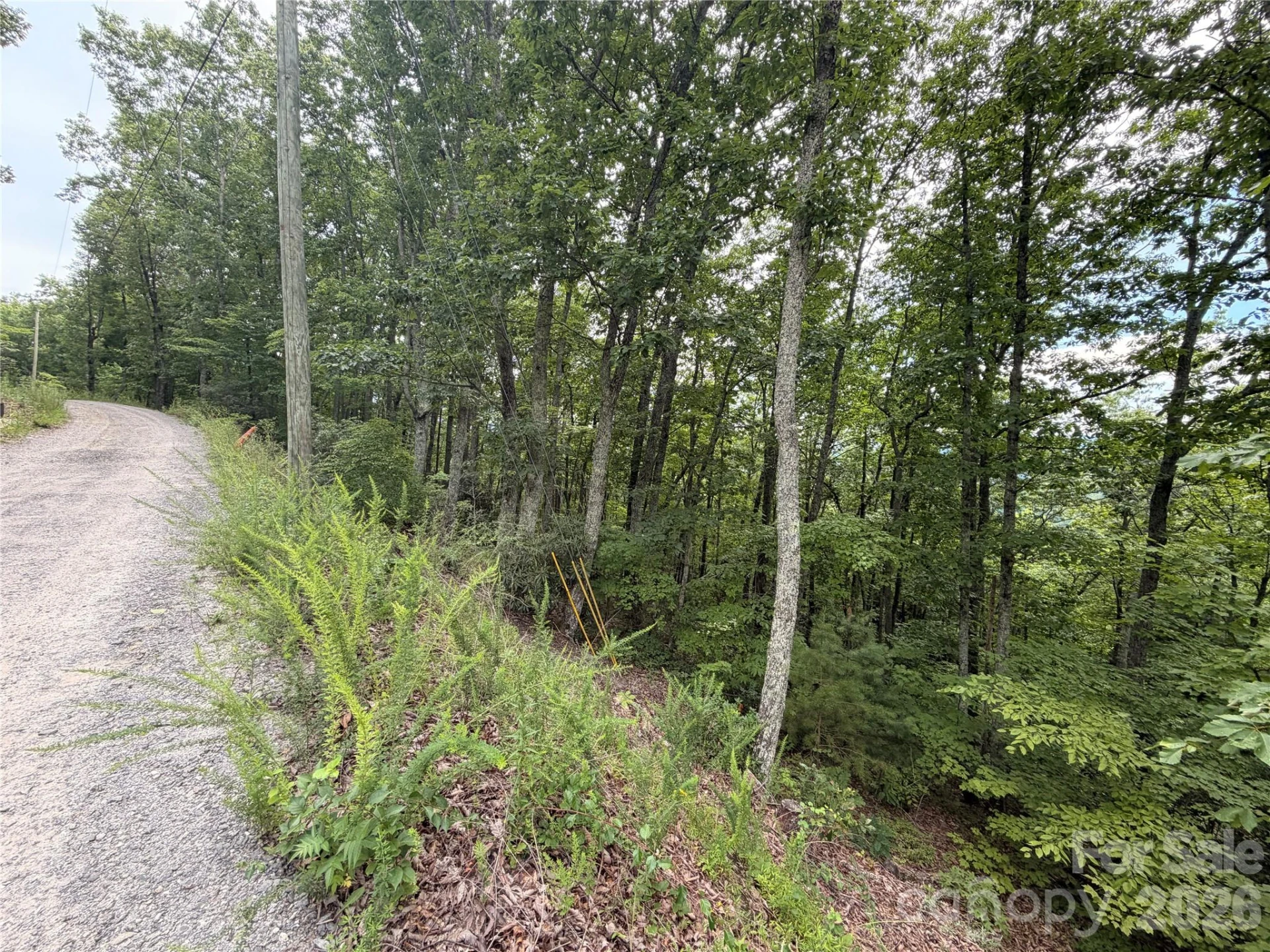 99999 Harrison Hill Road #15 - Photo 7