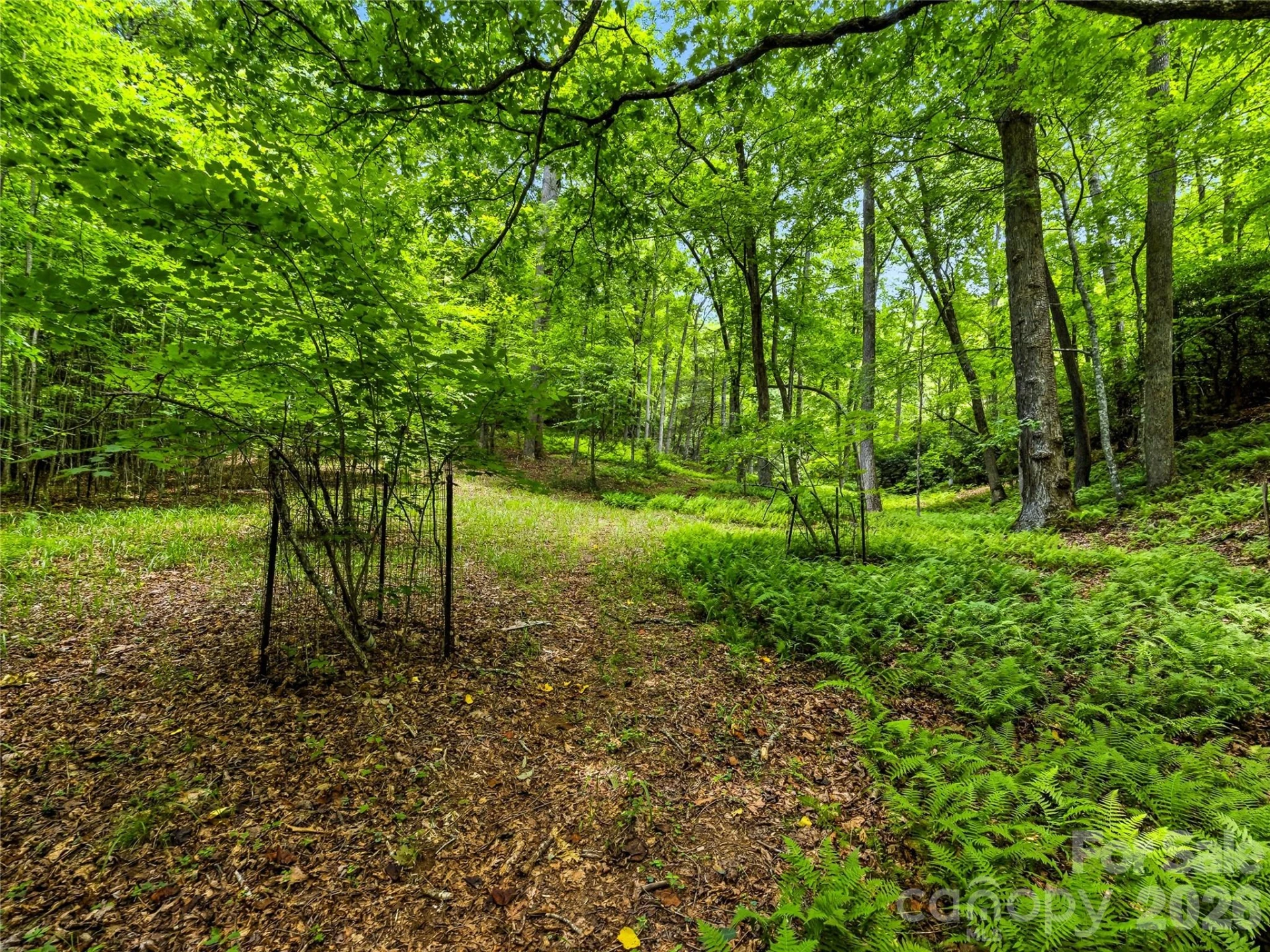 45 Watagnee Trail - Photo 44
