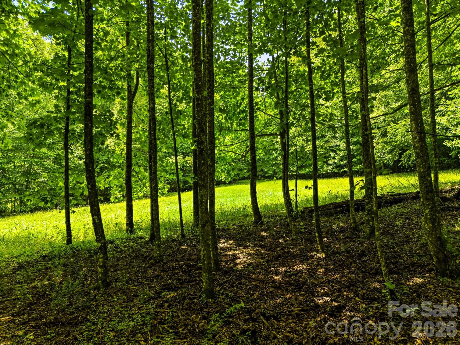 45 Watagnee Trail - Photo 45