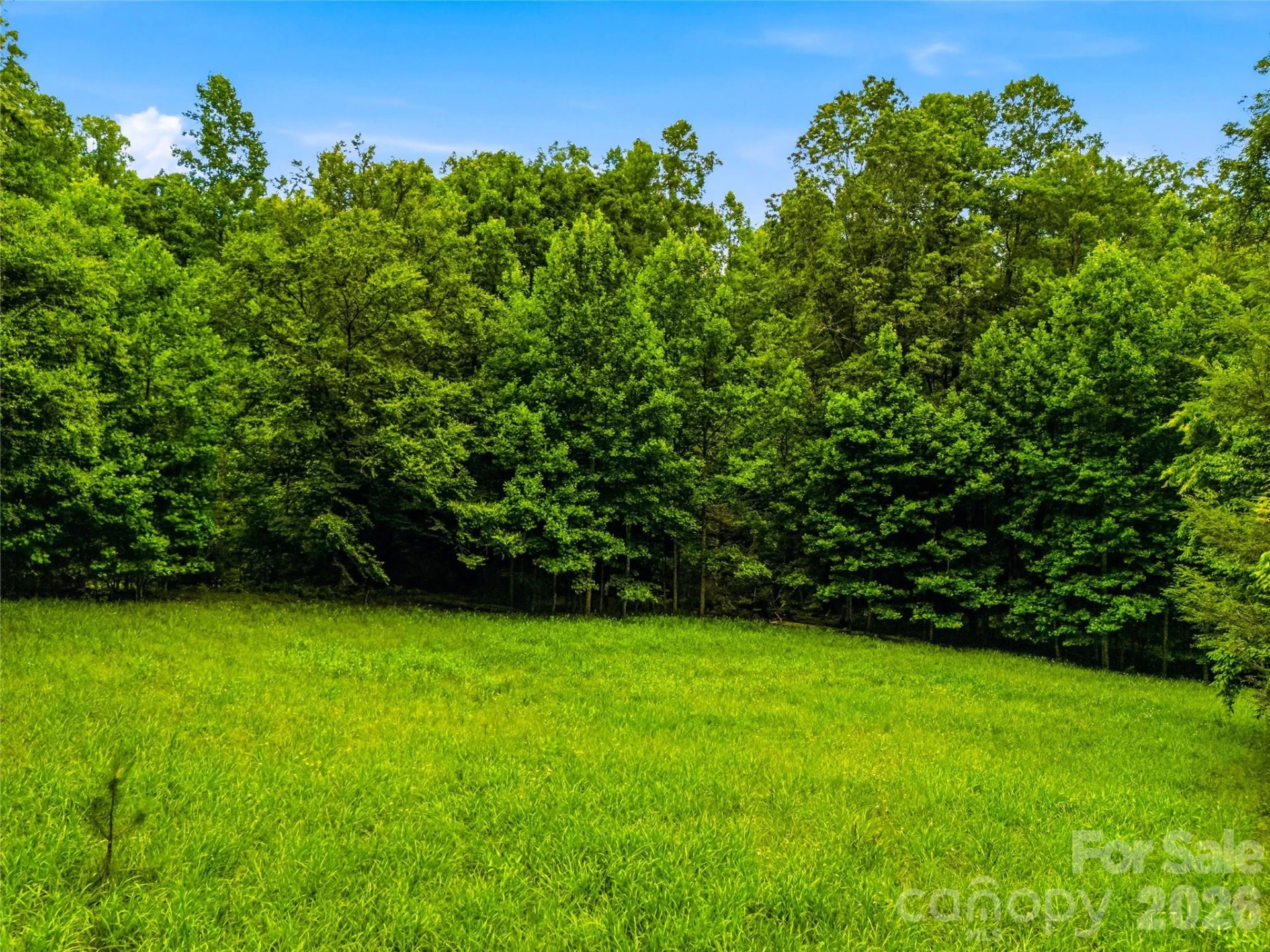 45 Watagnee Trail - Photo 47