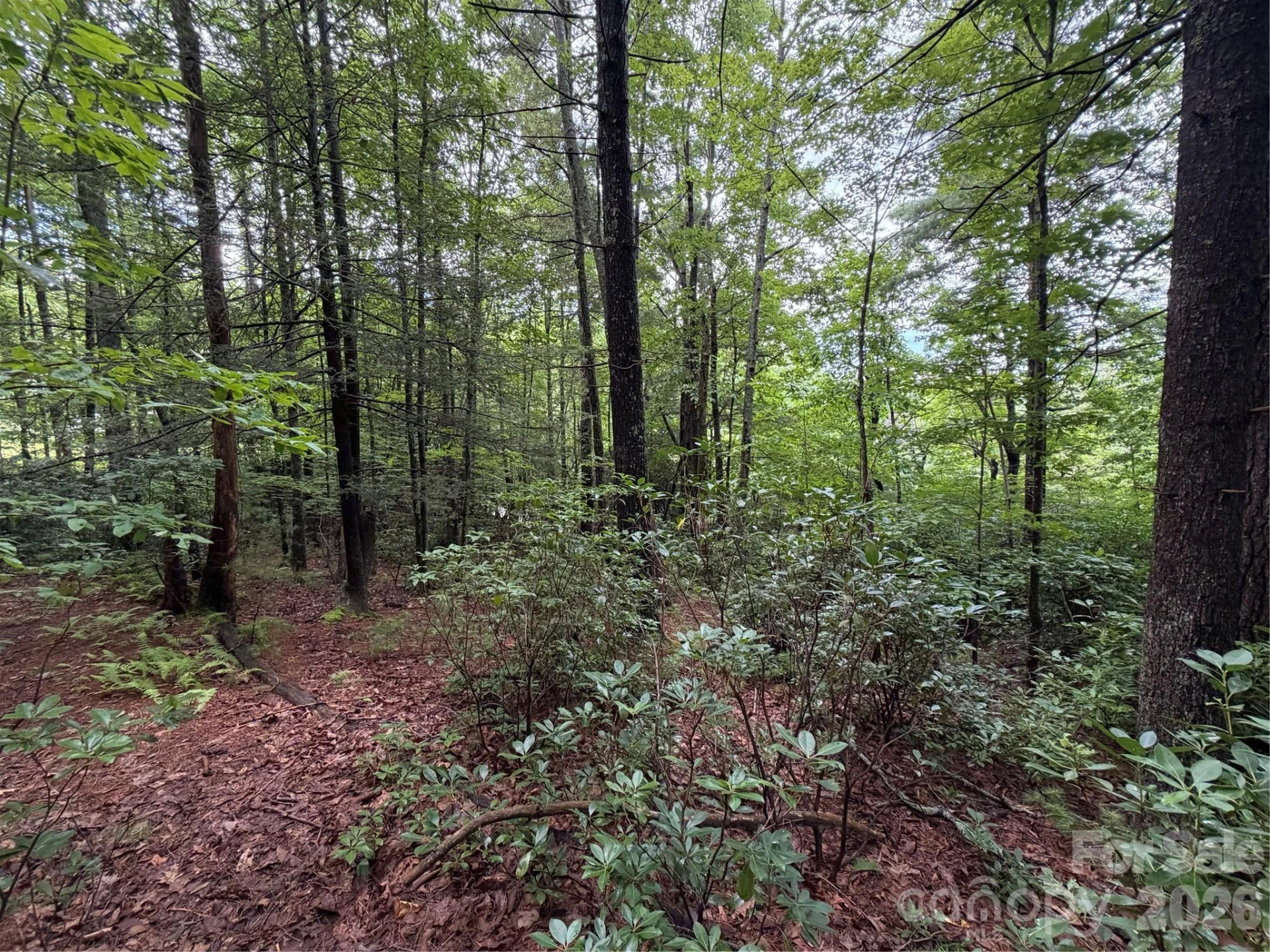 0 Gateway Drive #10 - Photo 8