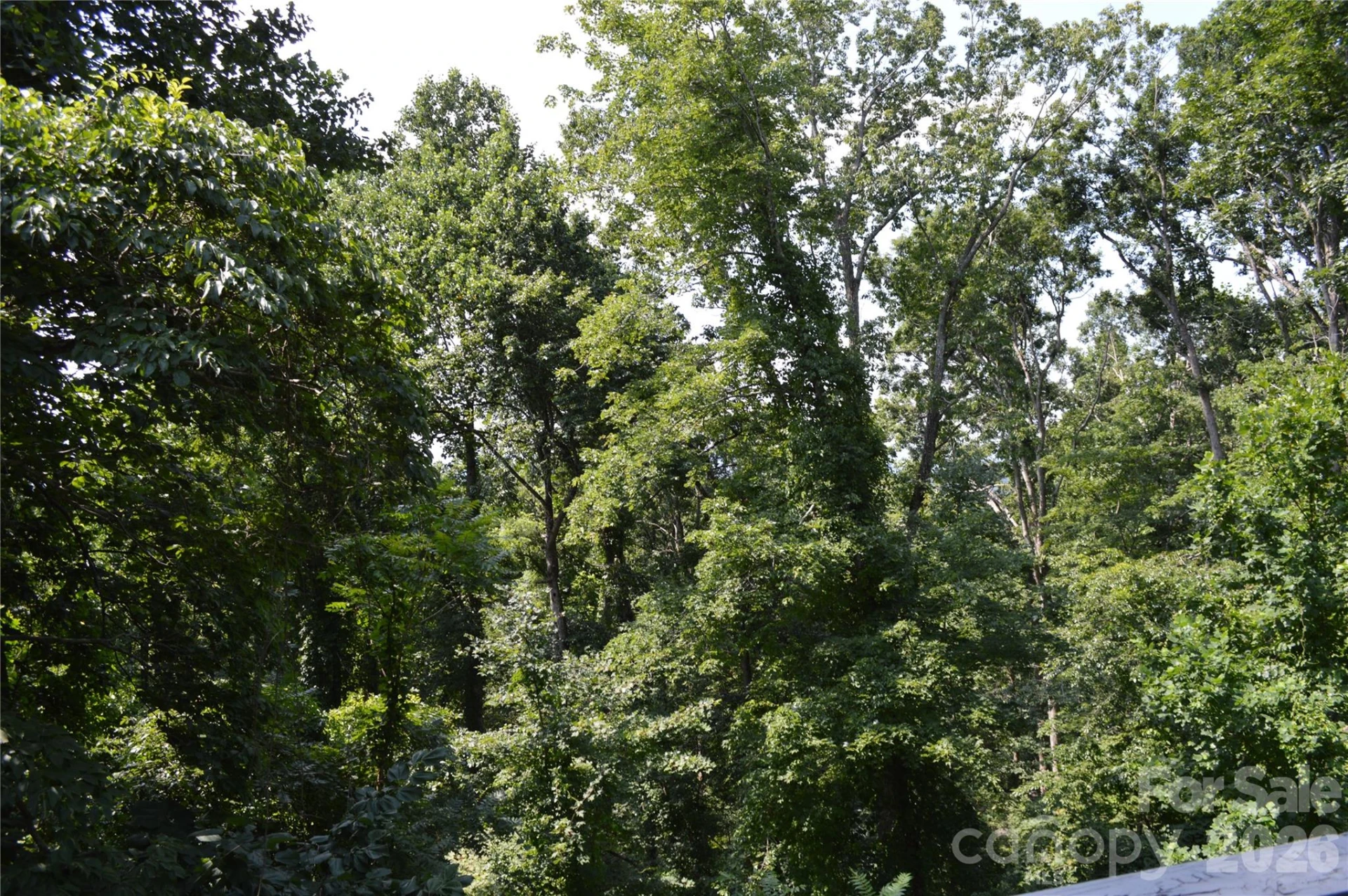 184 Laurel Road - Photo 47