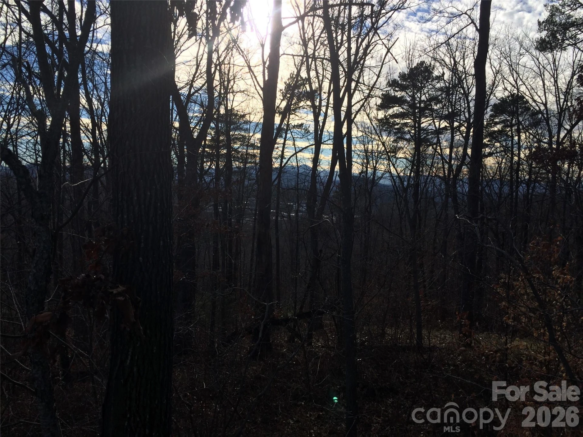 28 Samuel Ashe Drive - Photo 6