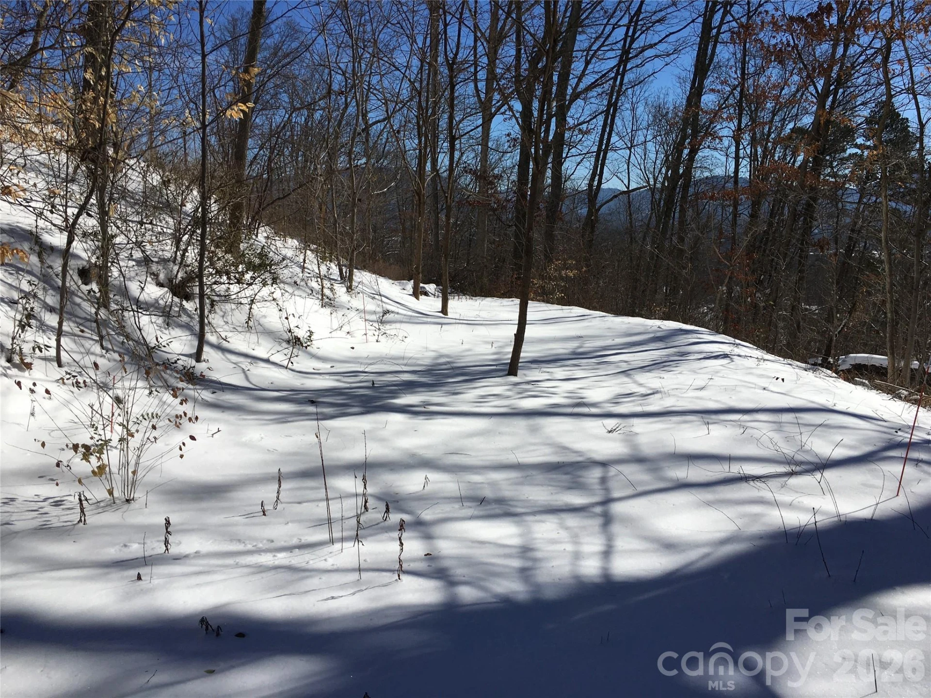 28 Samuel Ashe Drive - Photo 13