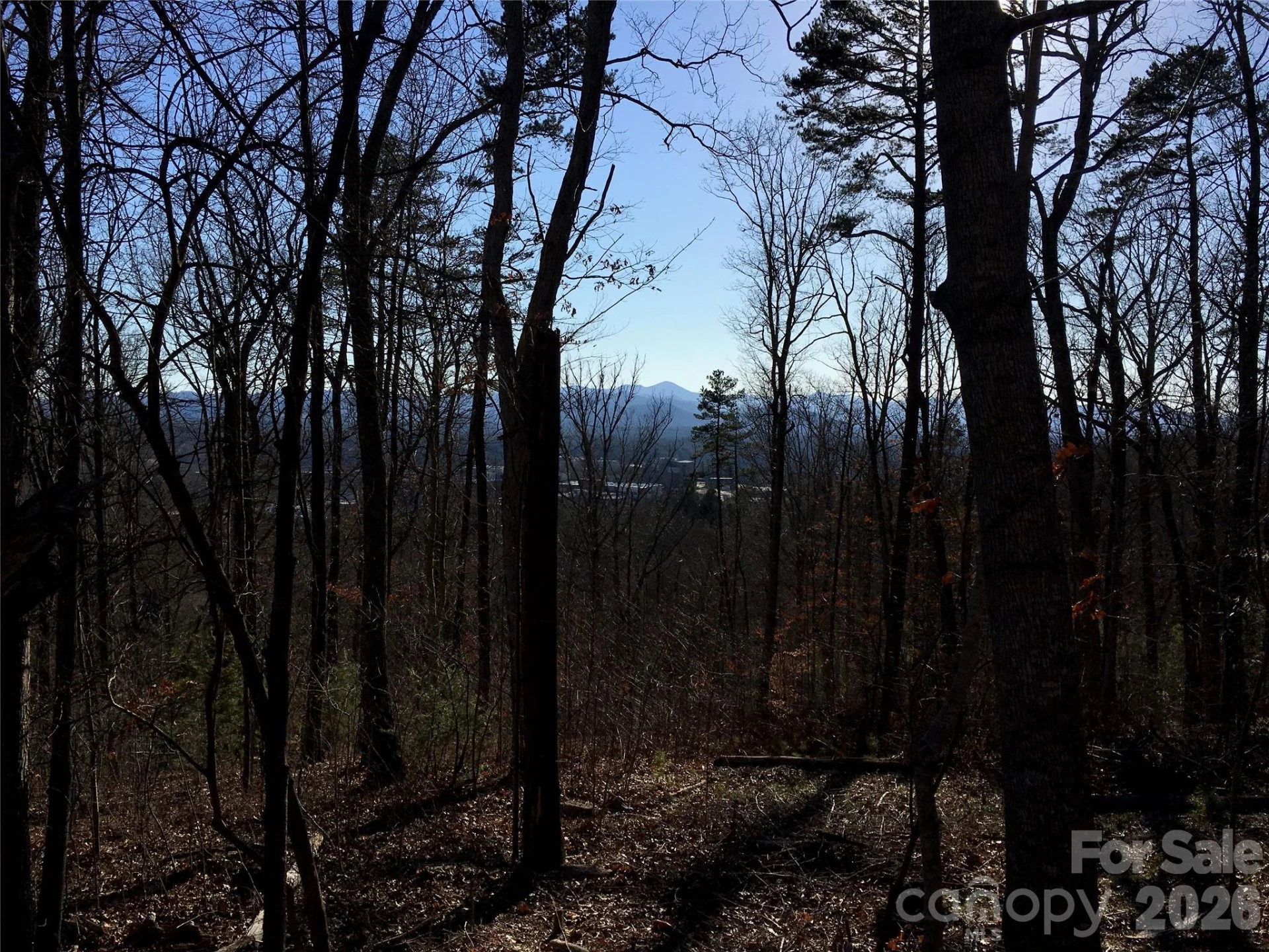 28 Samuel Ashe Drive - Photo 15