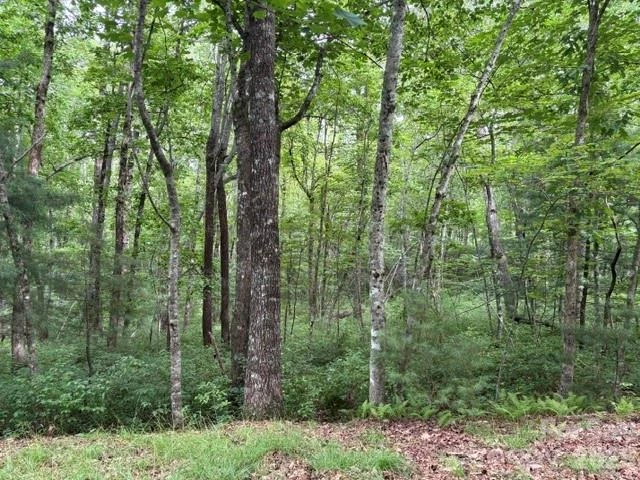 FR16 opossum Path #FR 16 - Photo 12
