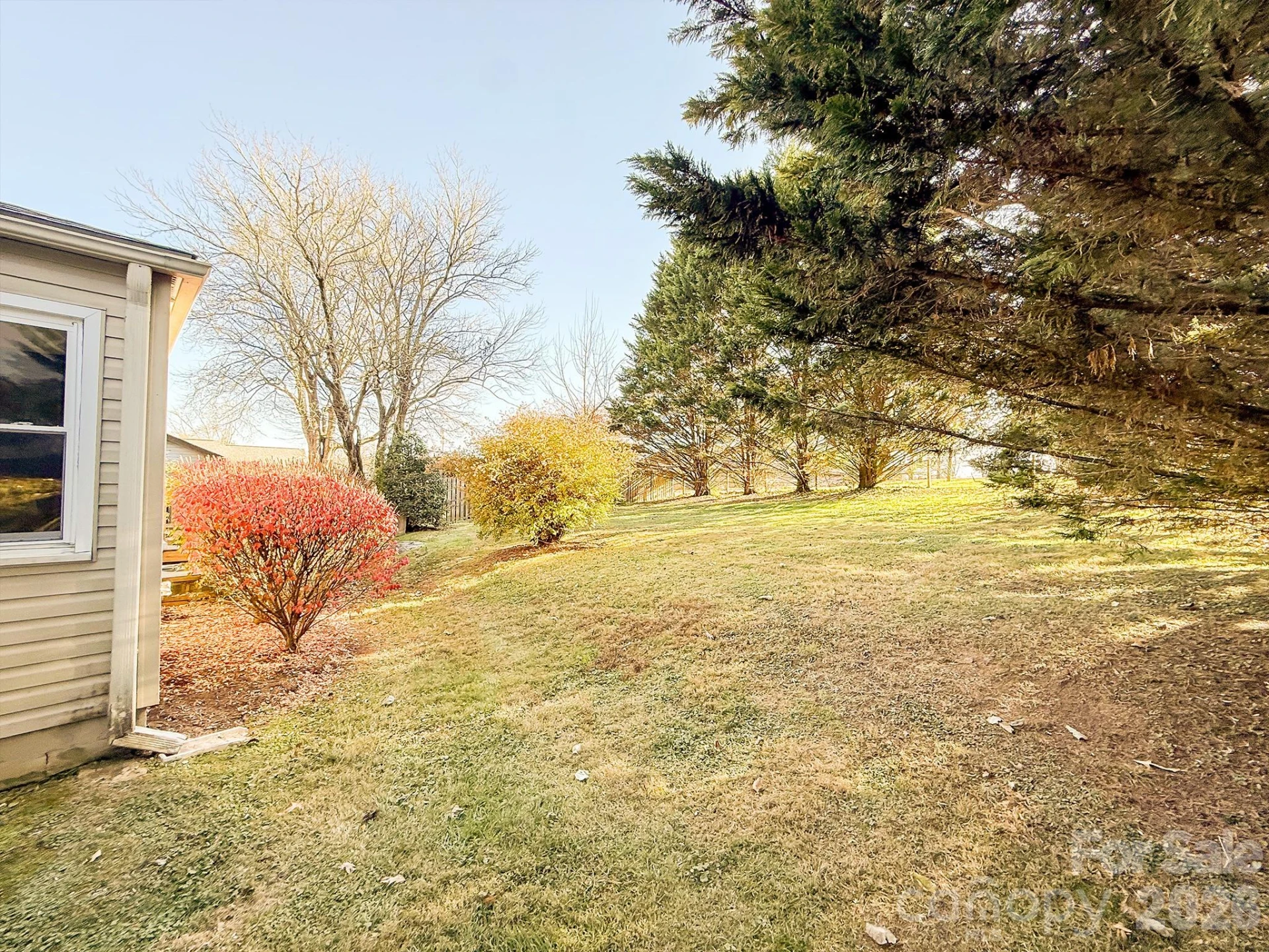 331 Probart Street - Photo 16