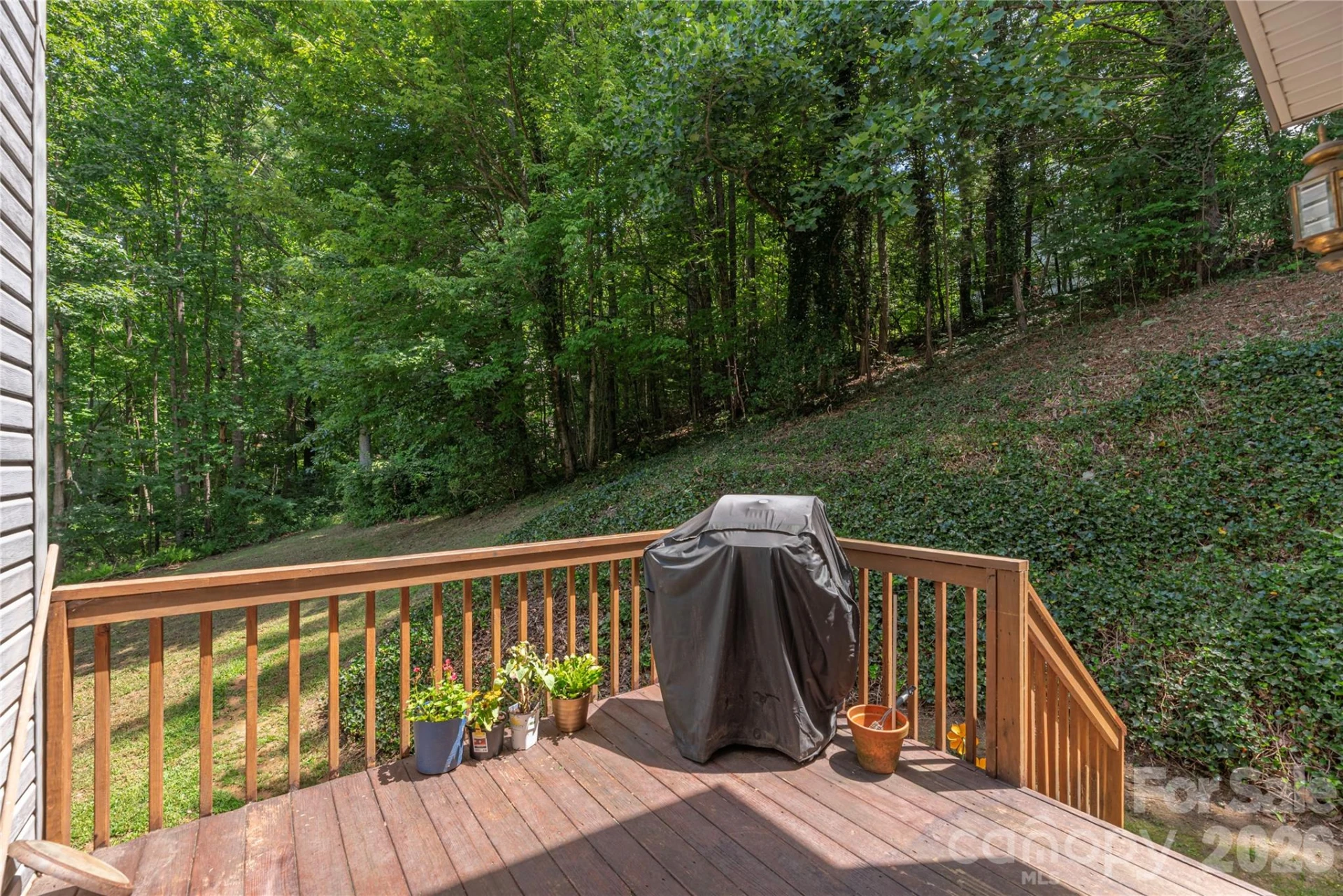 5 Summer Savory Court - Photo 11