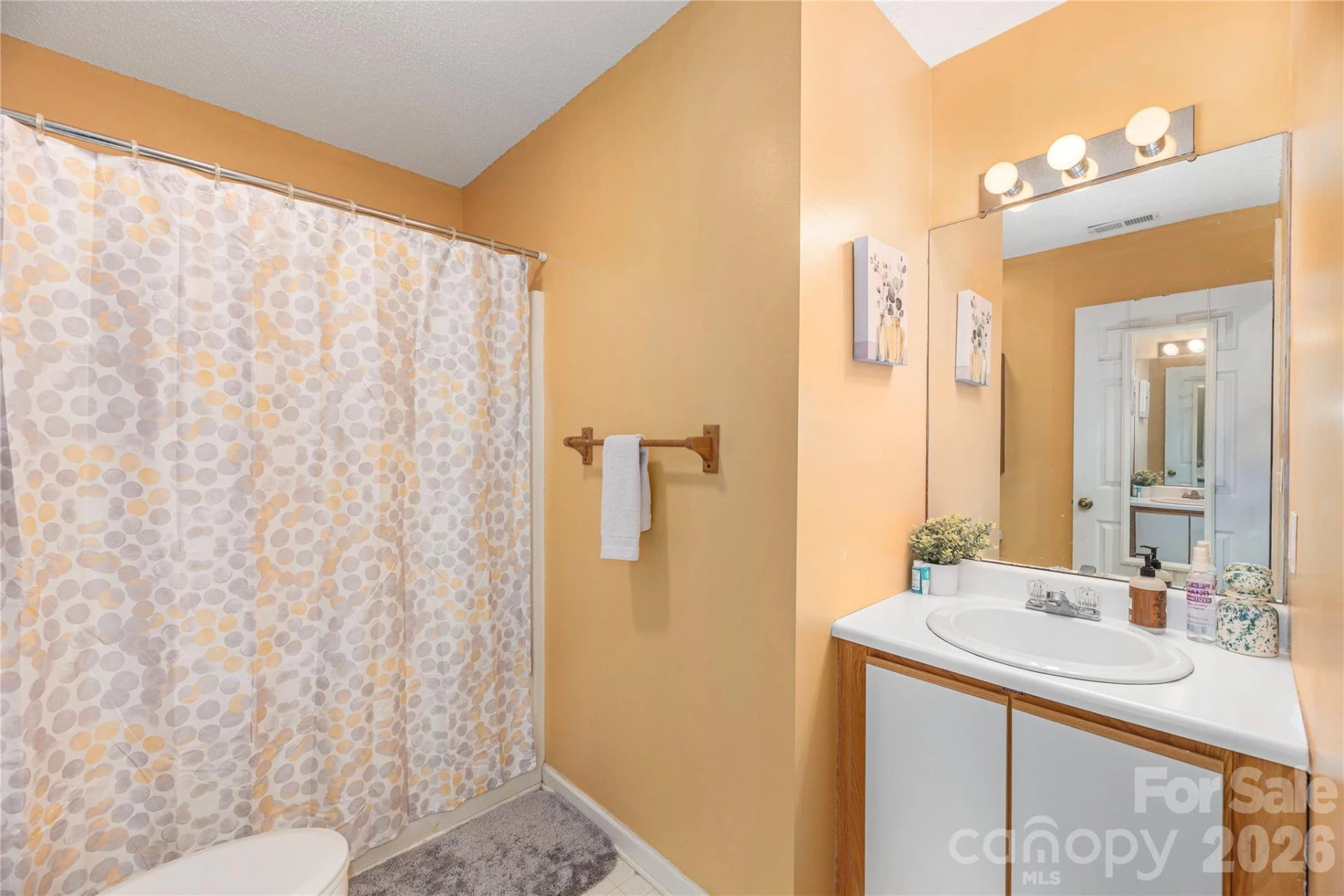 5 Summer Savory Court - Photo 19