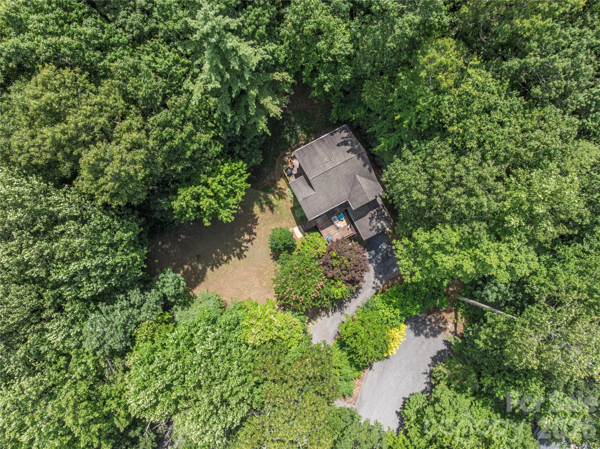 5 Summer Savory Court - Photo 26