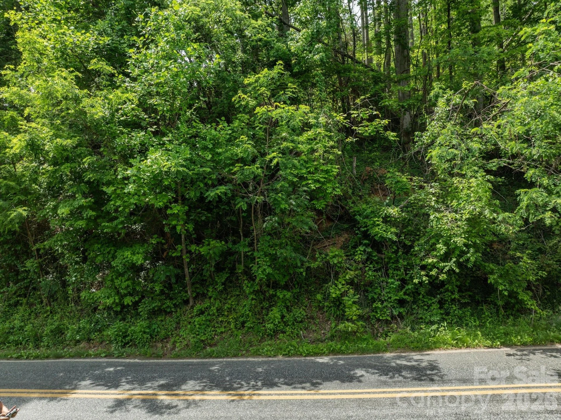 99999 Moody Cove Road #2 - Photo 13
