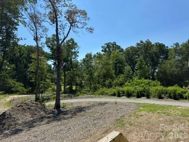 290 Poppy Acres Lane - Photo 3