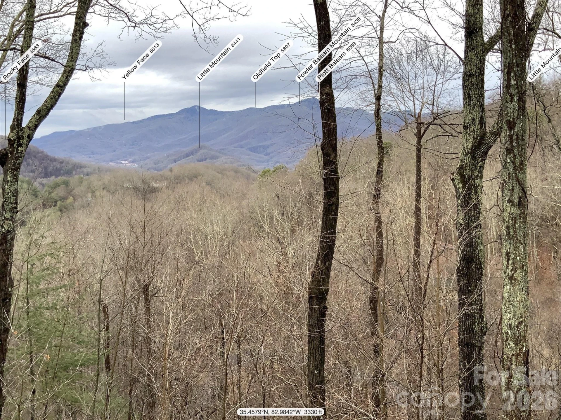394 Hickory Drive - Photo 46