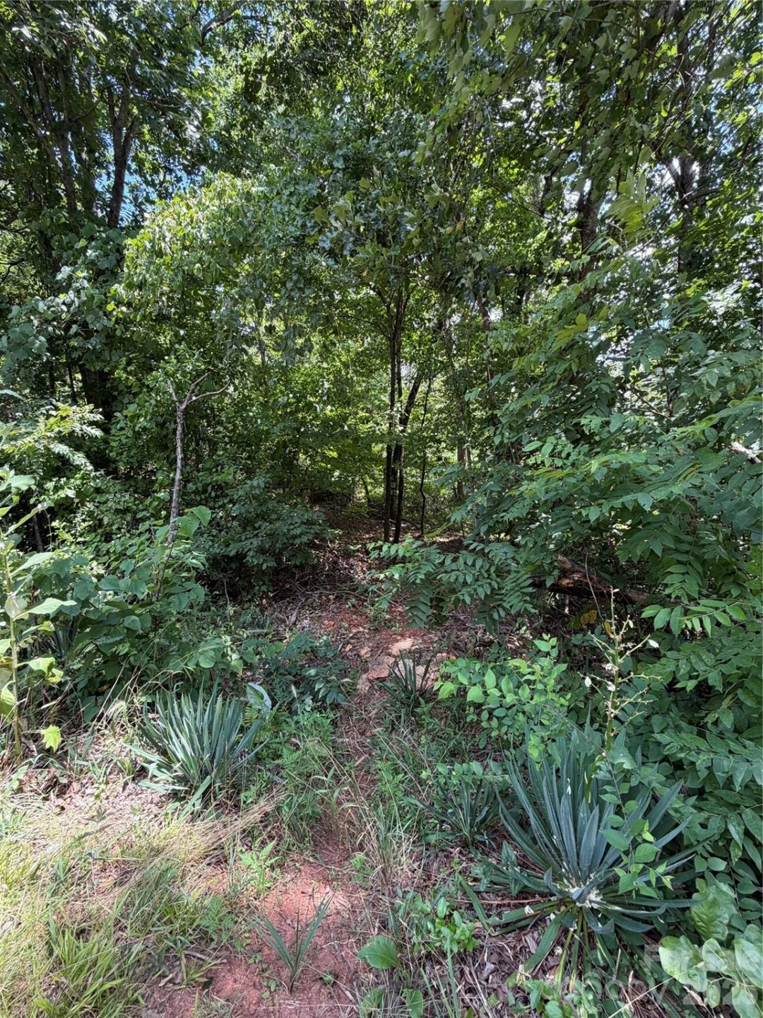 0 spindale Street - Photo 9