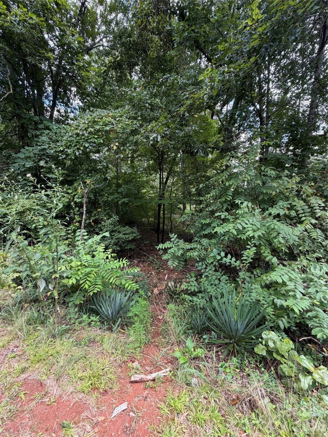 0 spindale Street - Photo 6
