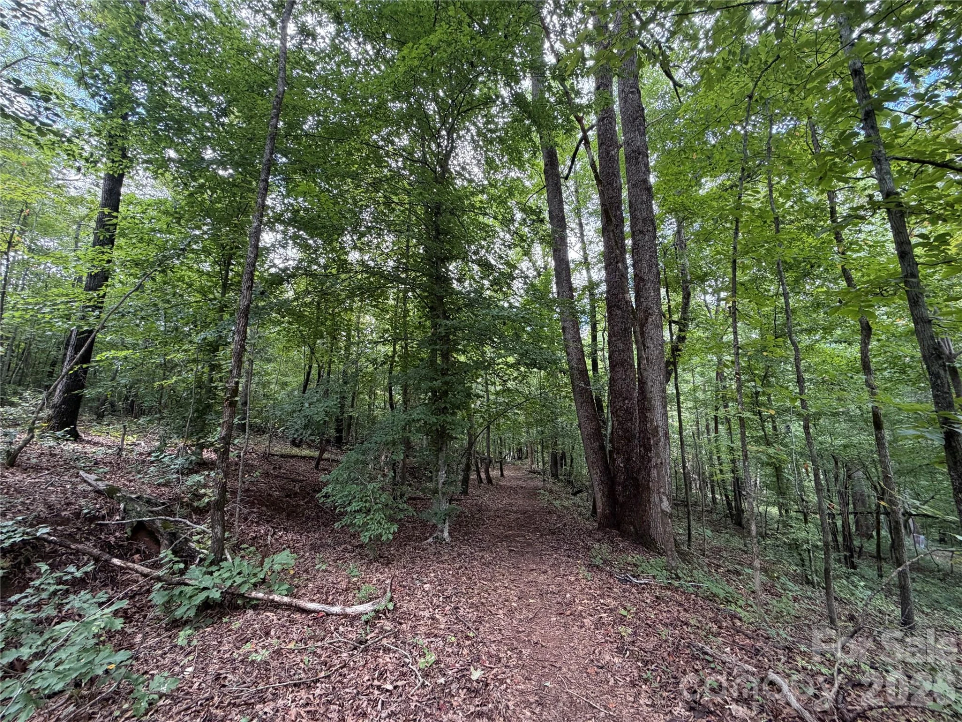 0 spindale Street - Photo 11