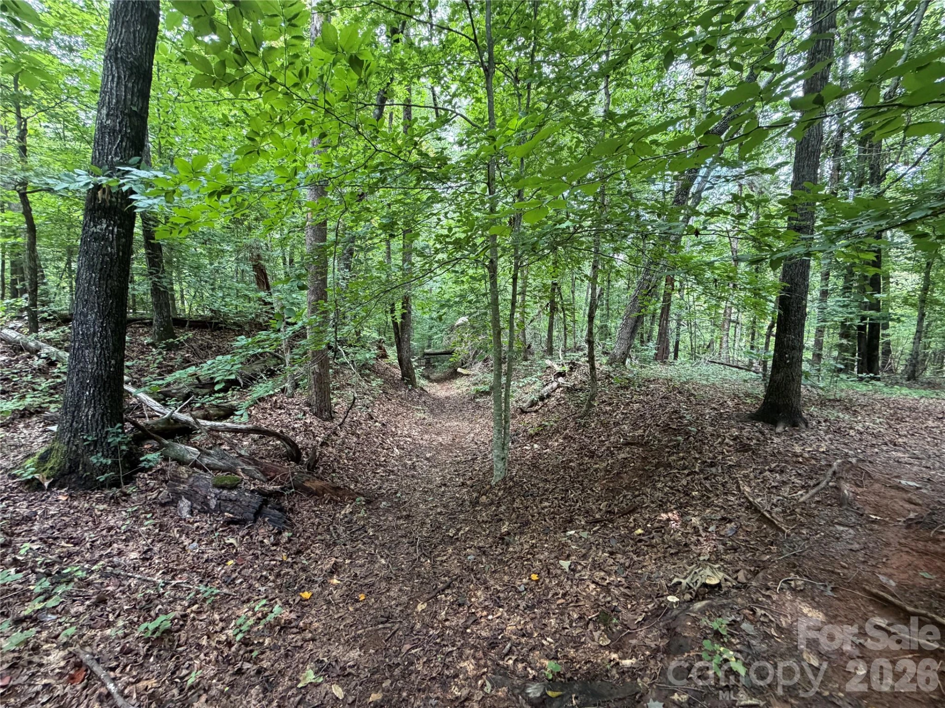 0 spindale Street - Photo 12