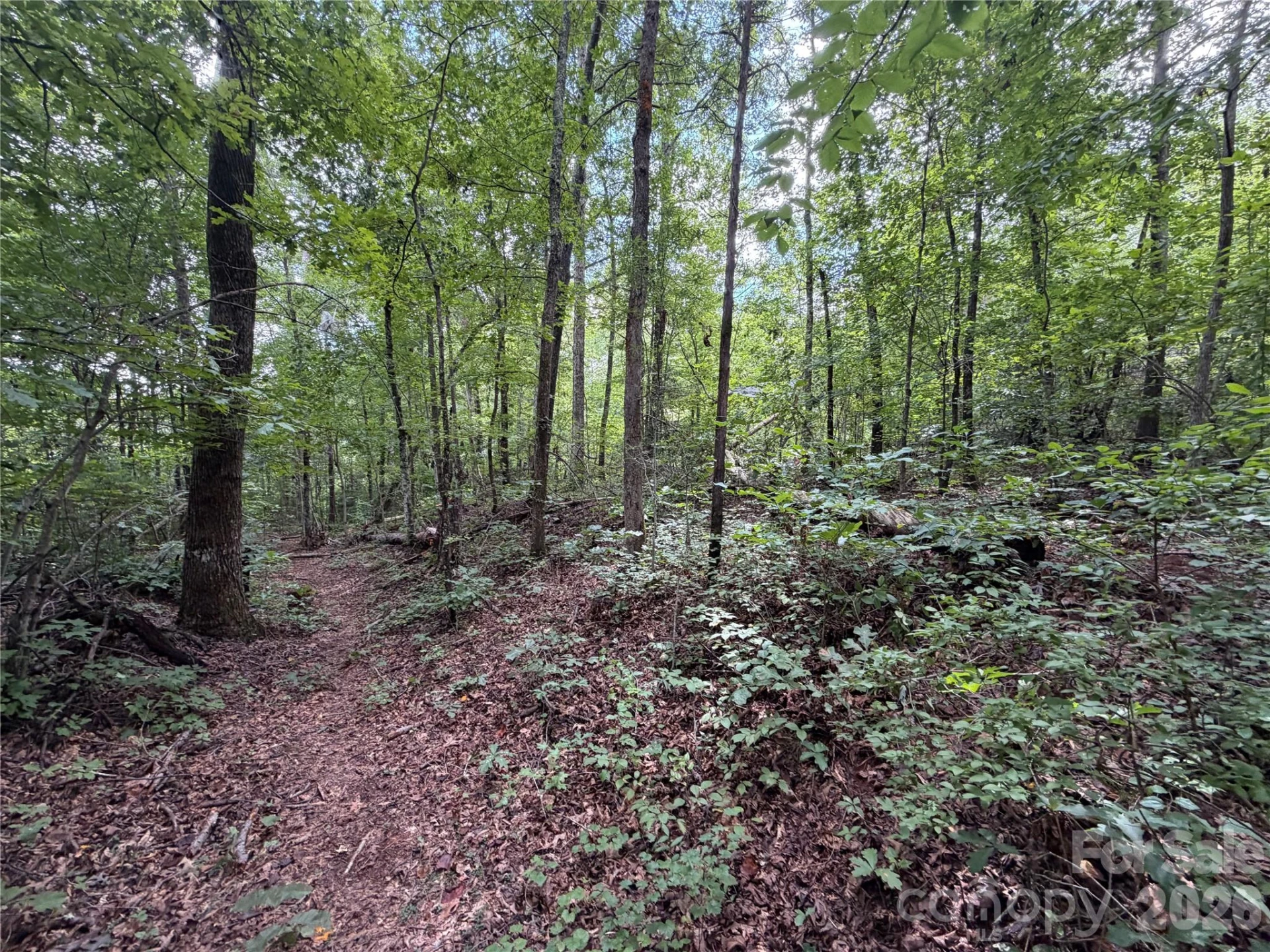 0 spindale Street - Photo 13