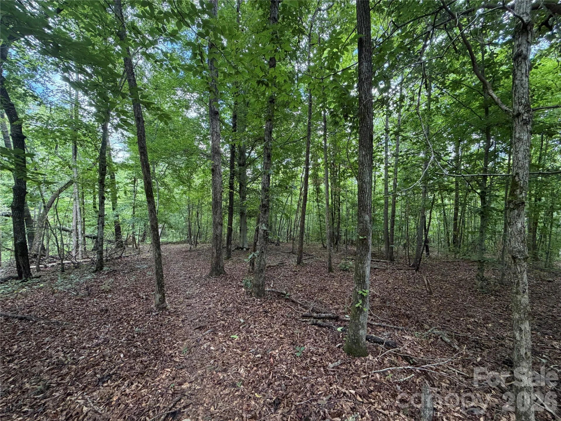 0 spindale Street - Photo 15