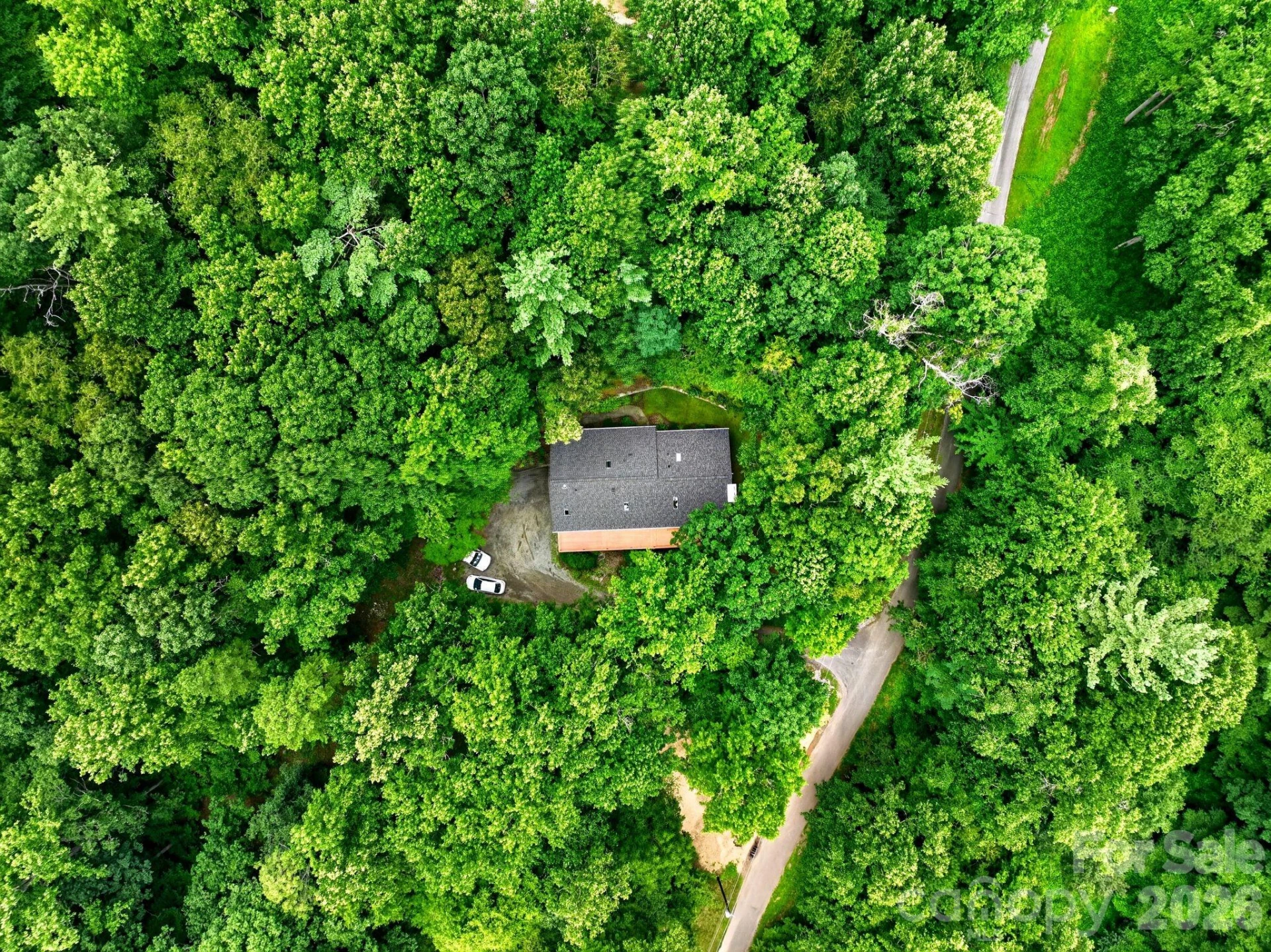 12 Beech Tree Lane - Photo 6
