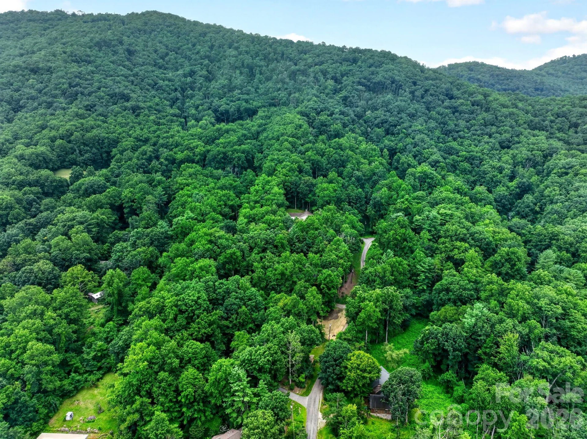 12 Beech Tree Lane - Photo 7