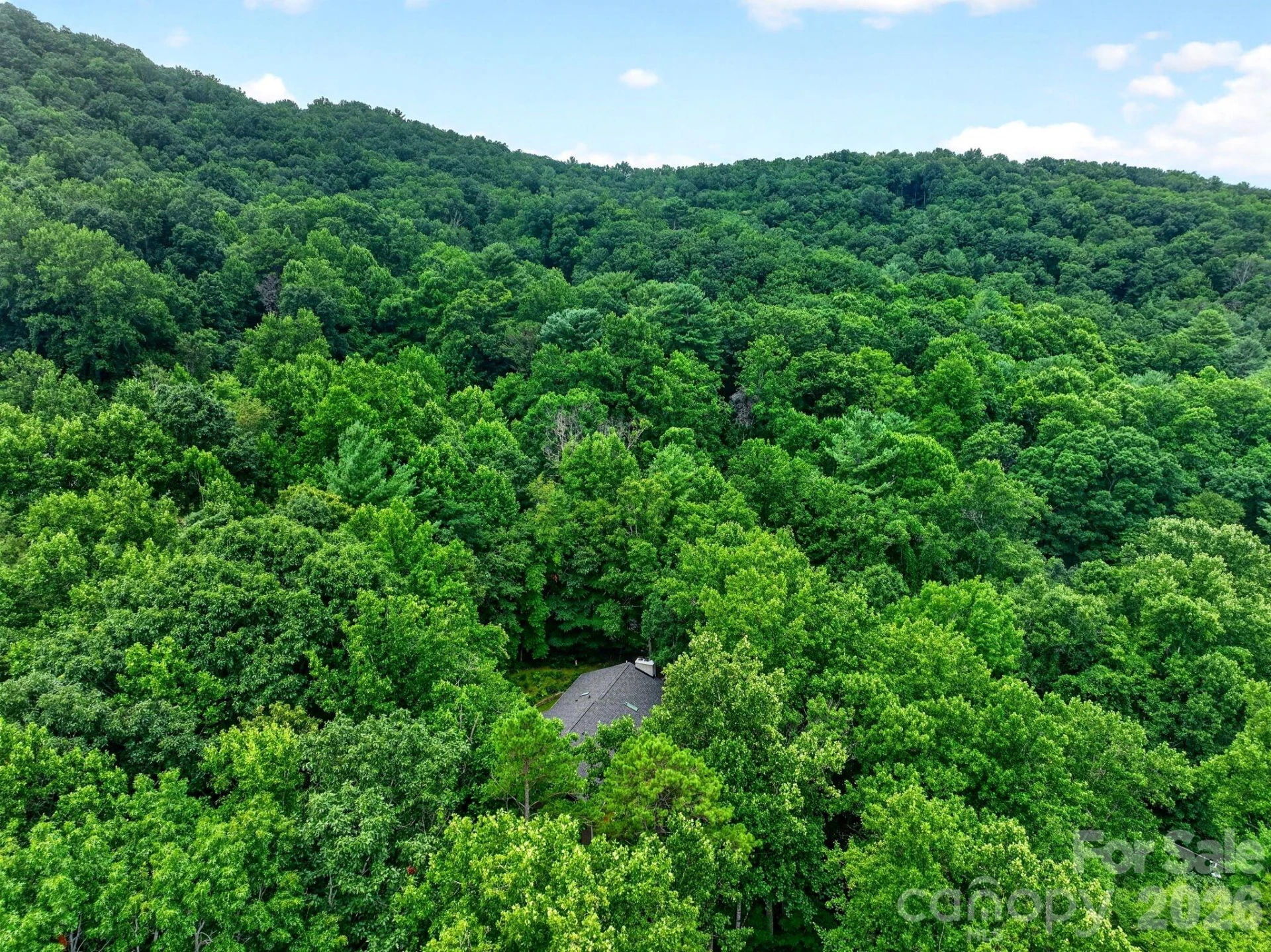 12 Beech Tree Lane - Photo 9