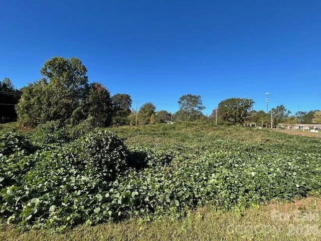 0 Oakland Heights Road - Photo 2