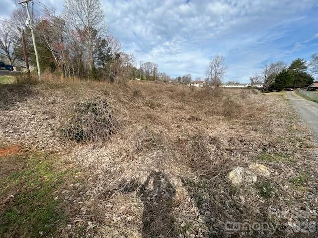0 Oakland Heights Road - Photo 9