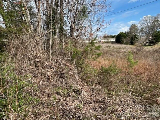 0 Oakland Heights Road - Photo 10