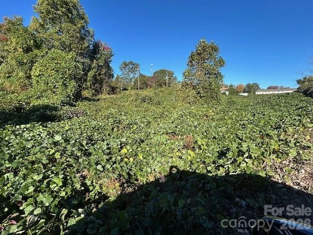 0 Oakland Heights Road - Photo 13