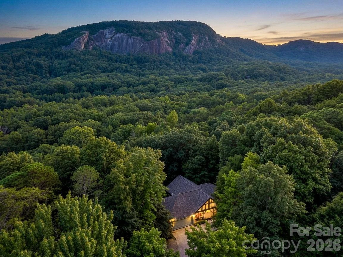203 Treetops Lane - Photo 46
