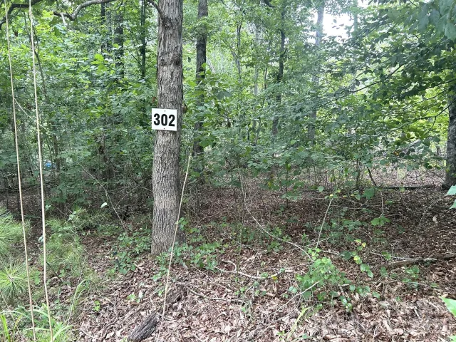 00 Bitteroot Circle, Rutherfordton, NC, 28139