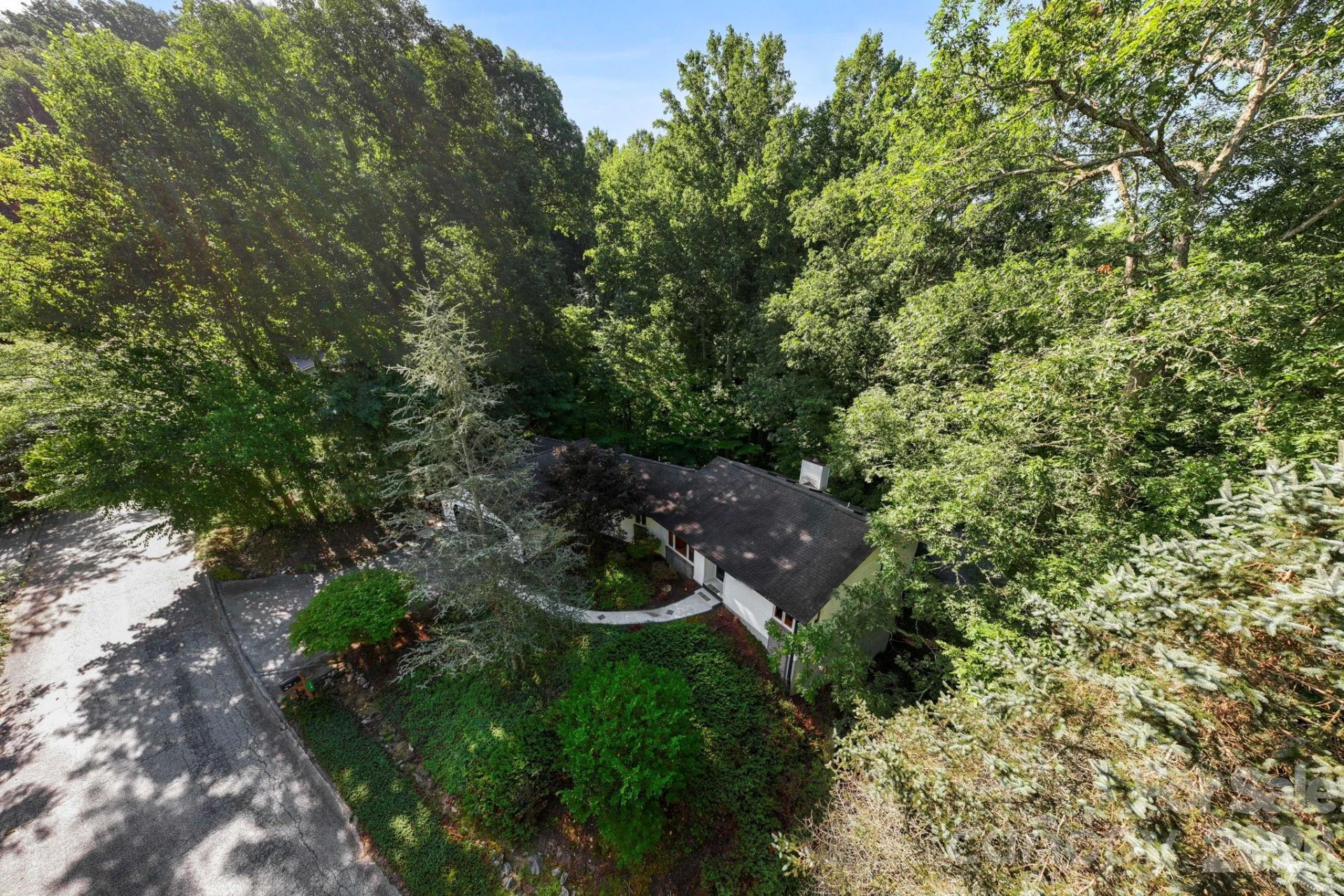 18 E Rosewood Trail - Photo 12