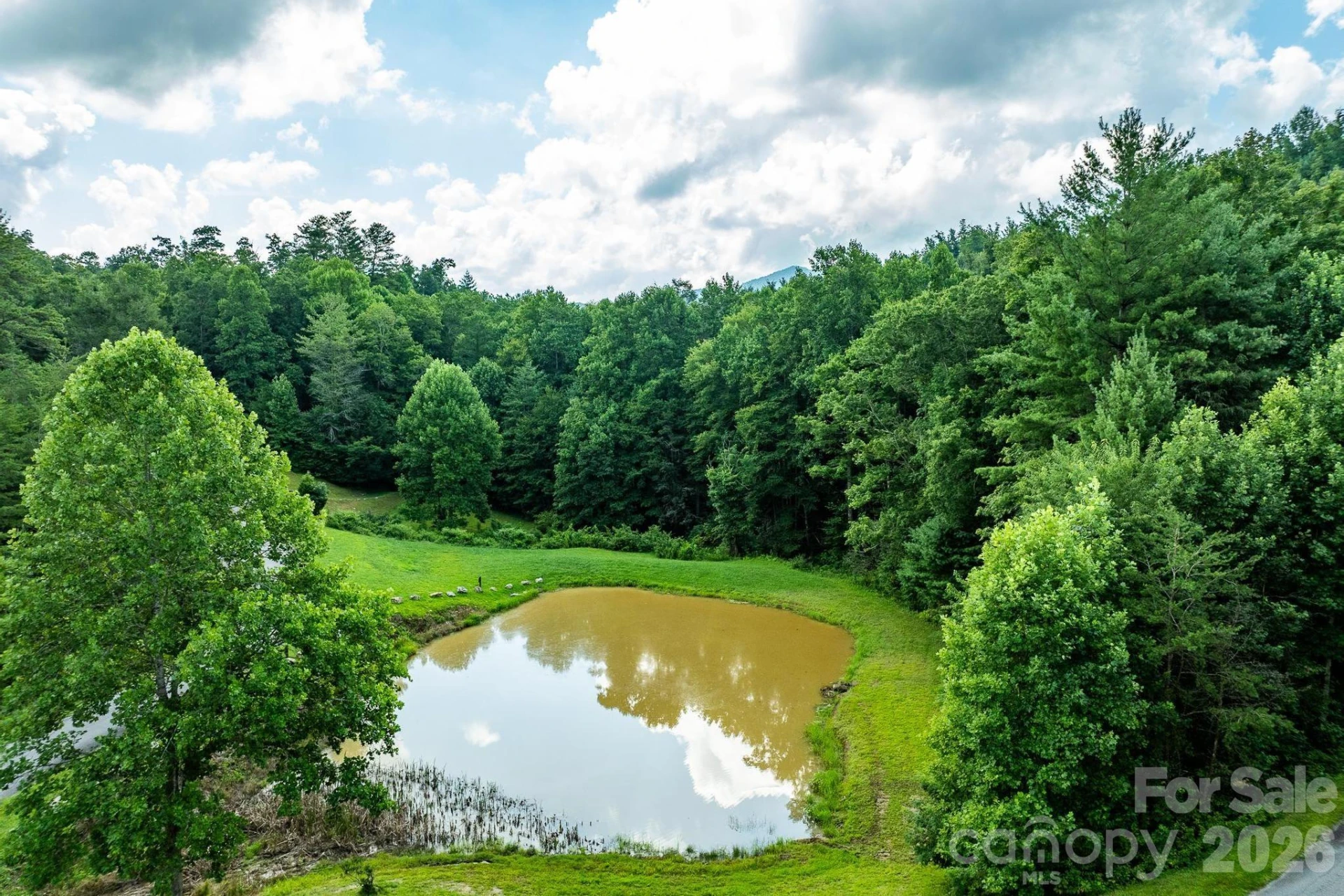 565 Pine Cone Trail - Photo 13