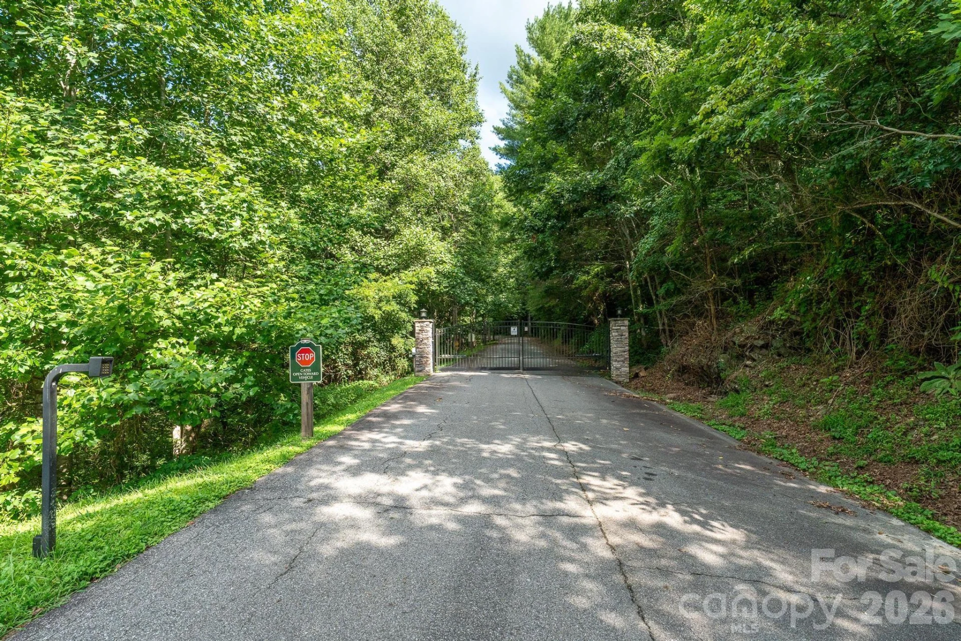 565 Pine Cone Trail - Photo 8