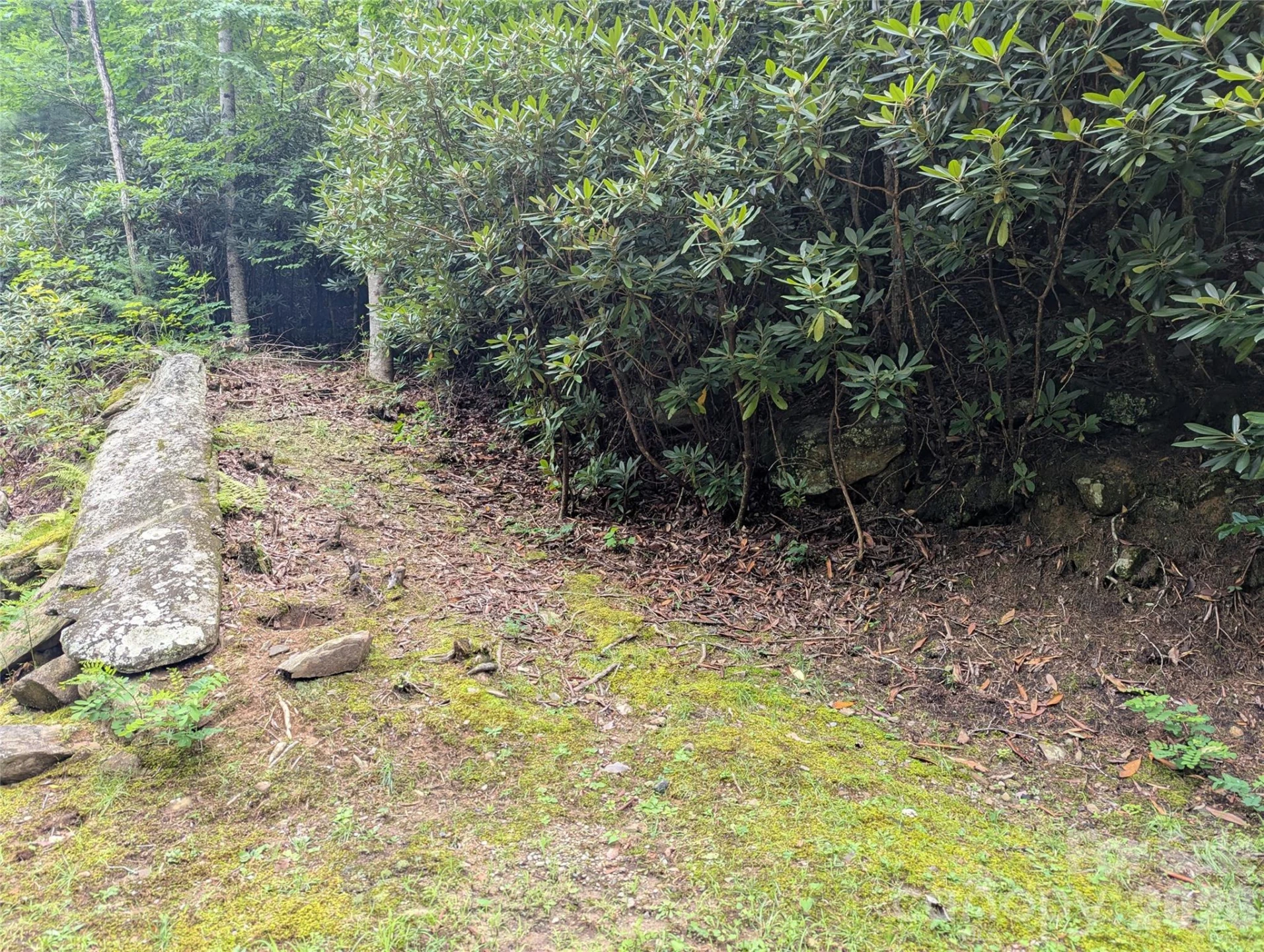 99999 Maryland Place #1426 - Photo 3