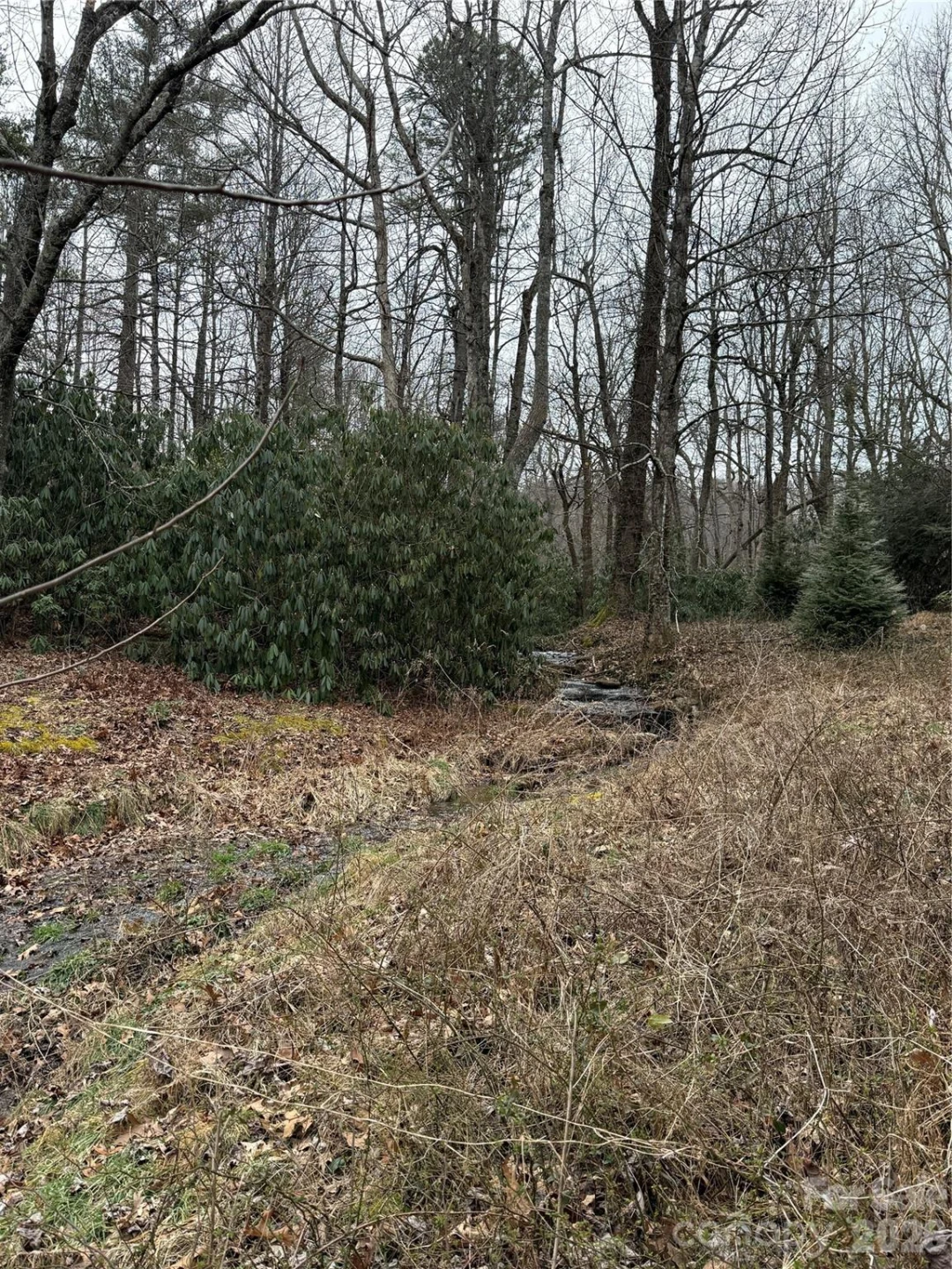 4 Ambrose Court #155 - Photo 39