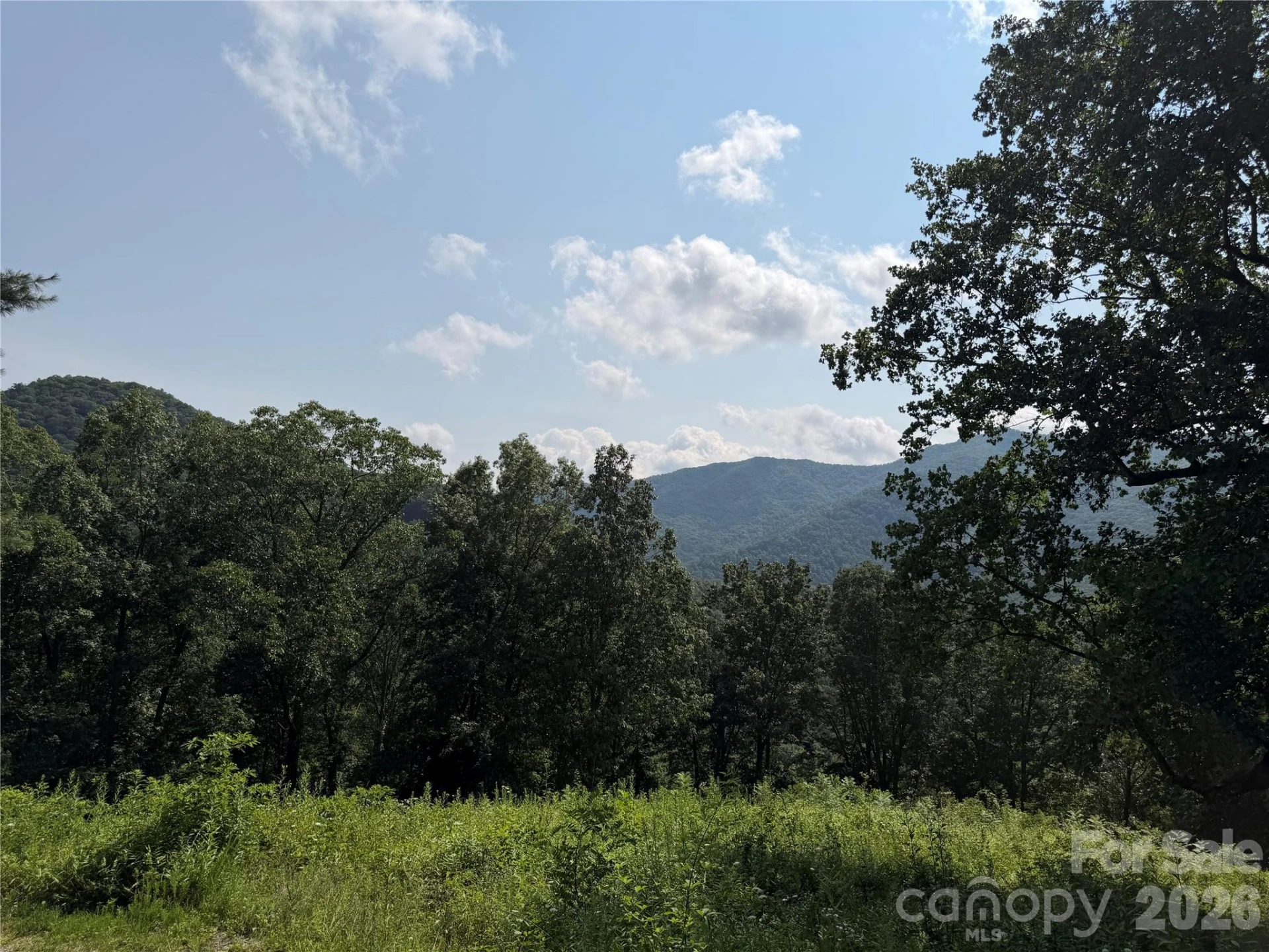 0000 Sorrells Creek Road - Photo 11
