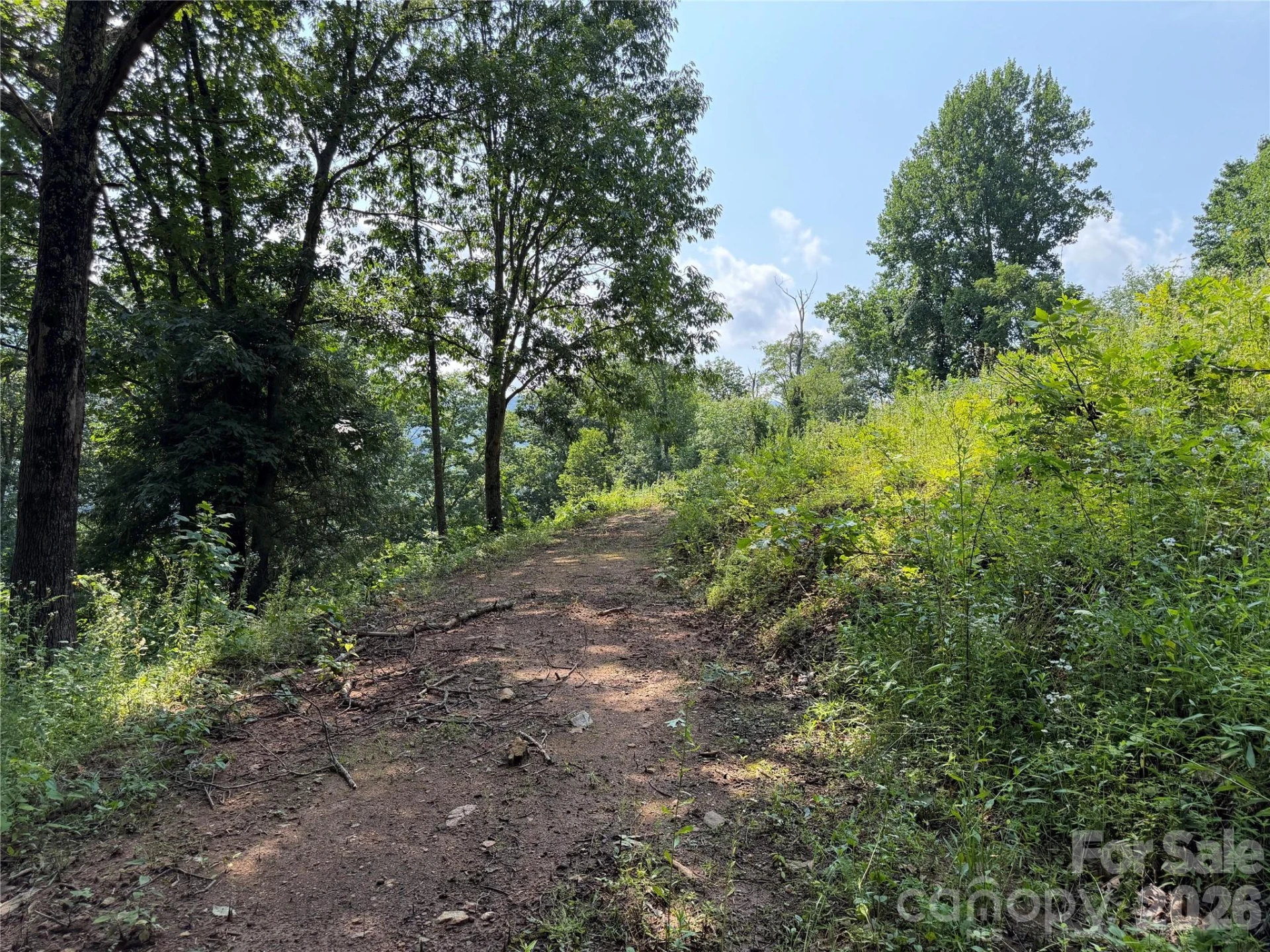 0000 Sorrells Creek Road - Photo 4