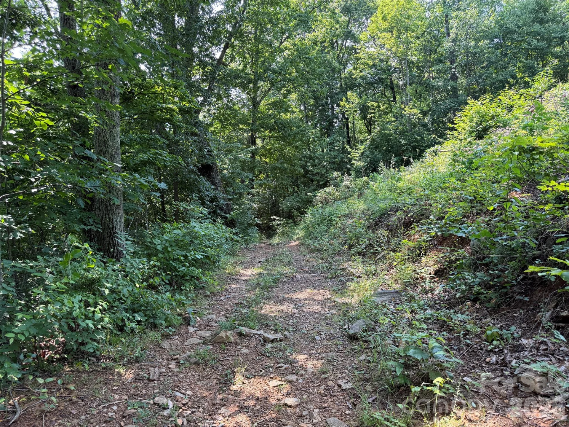 0000 Sorrells Creek Road - Photo 7