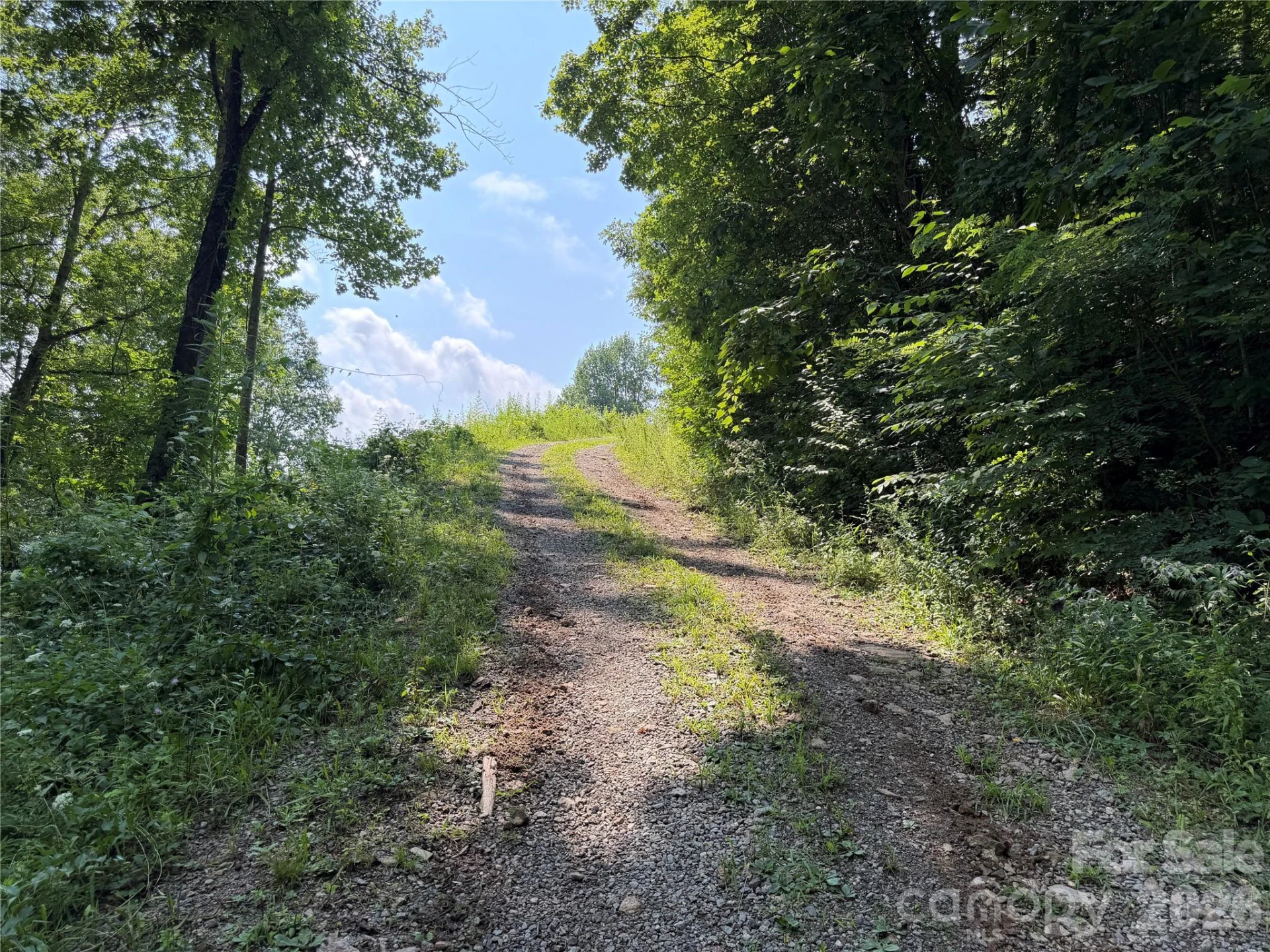 0000 Sorrells Creek Road - Photo 10