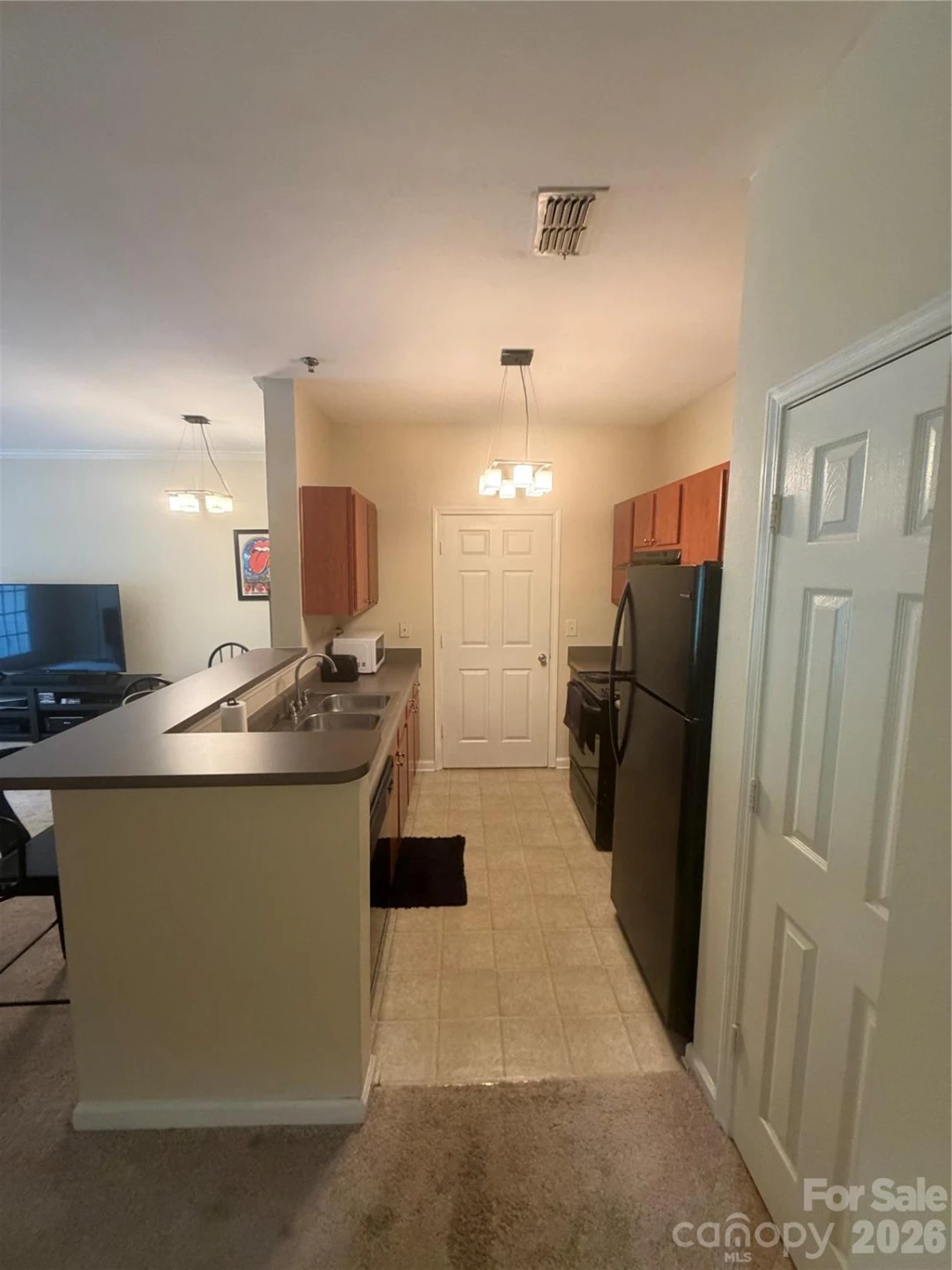 900 Vista Lake Drive #302 - Photo 3